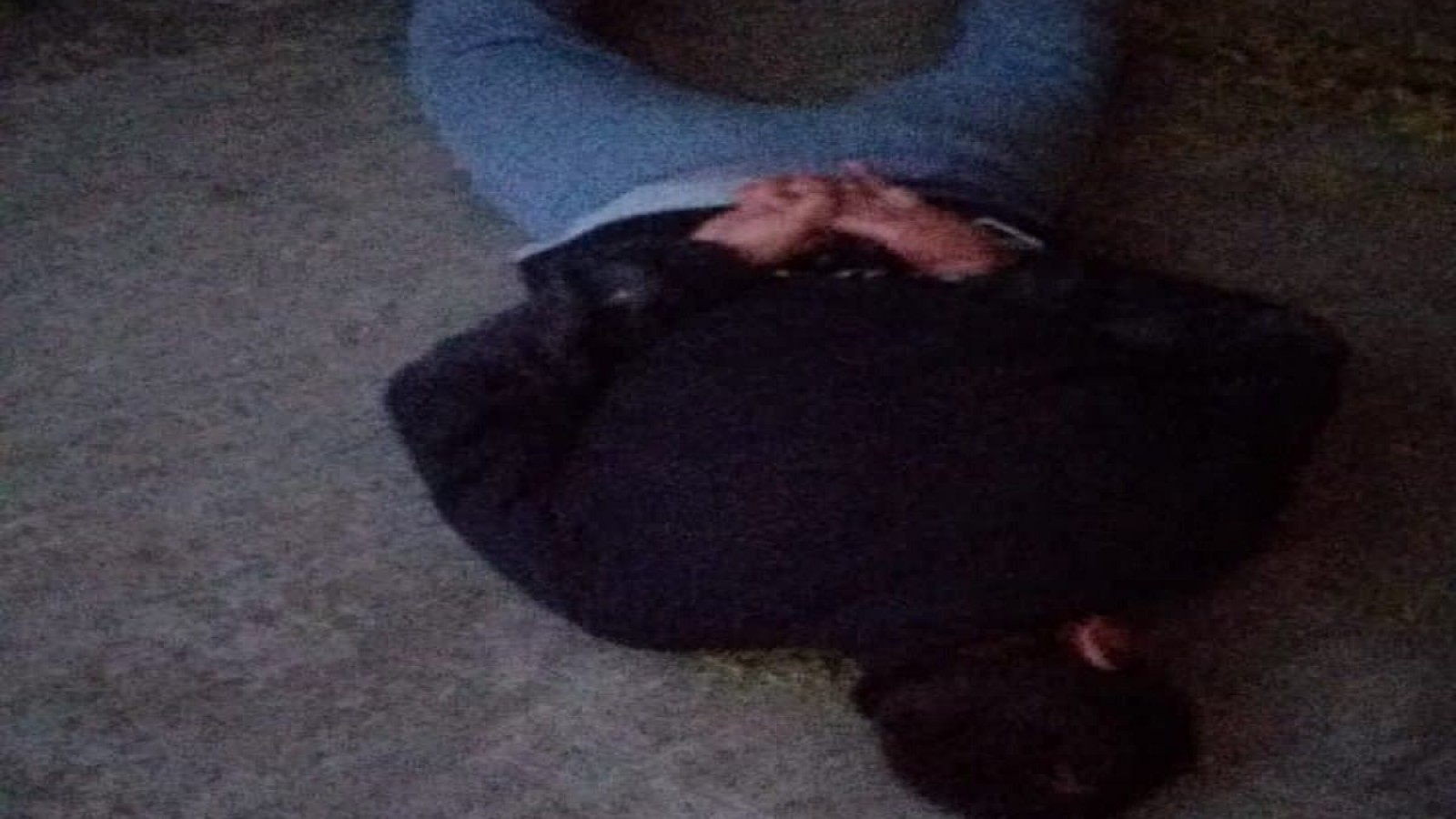 Trelew: tres hermanos fueron sorprendidos robando