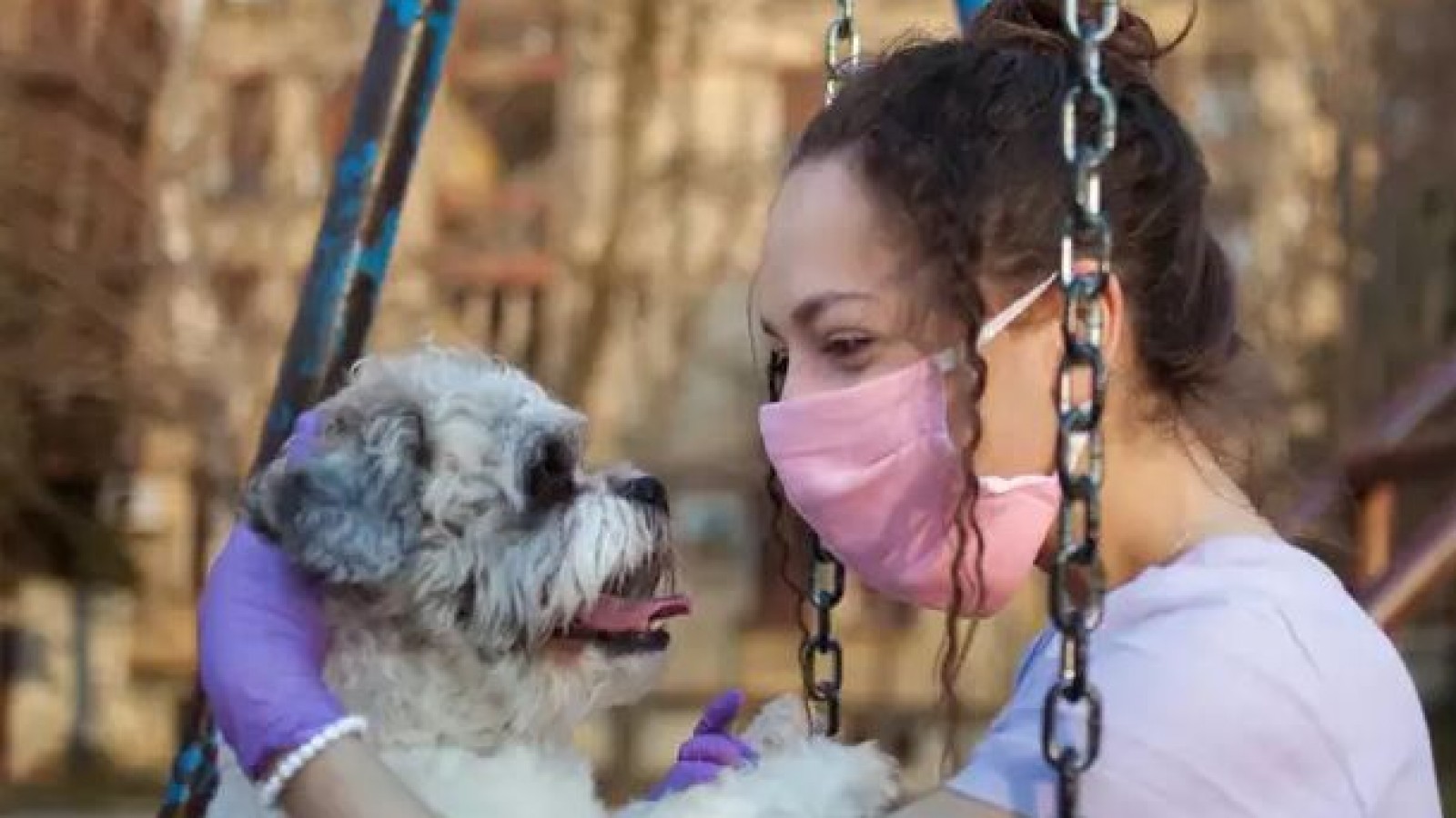 Buscan voluntarios para el cuidado de mascotas de pacientes con coronavirus