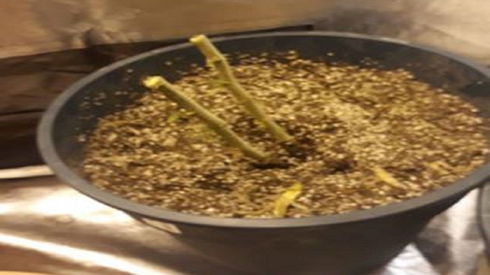 Madryn: robaron tres plantas de cannabis para uso medicinal