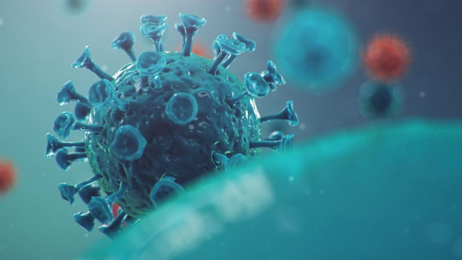 No hubo fallecimientos en Chubut por coronavirus