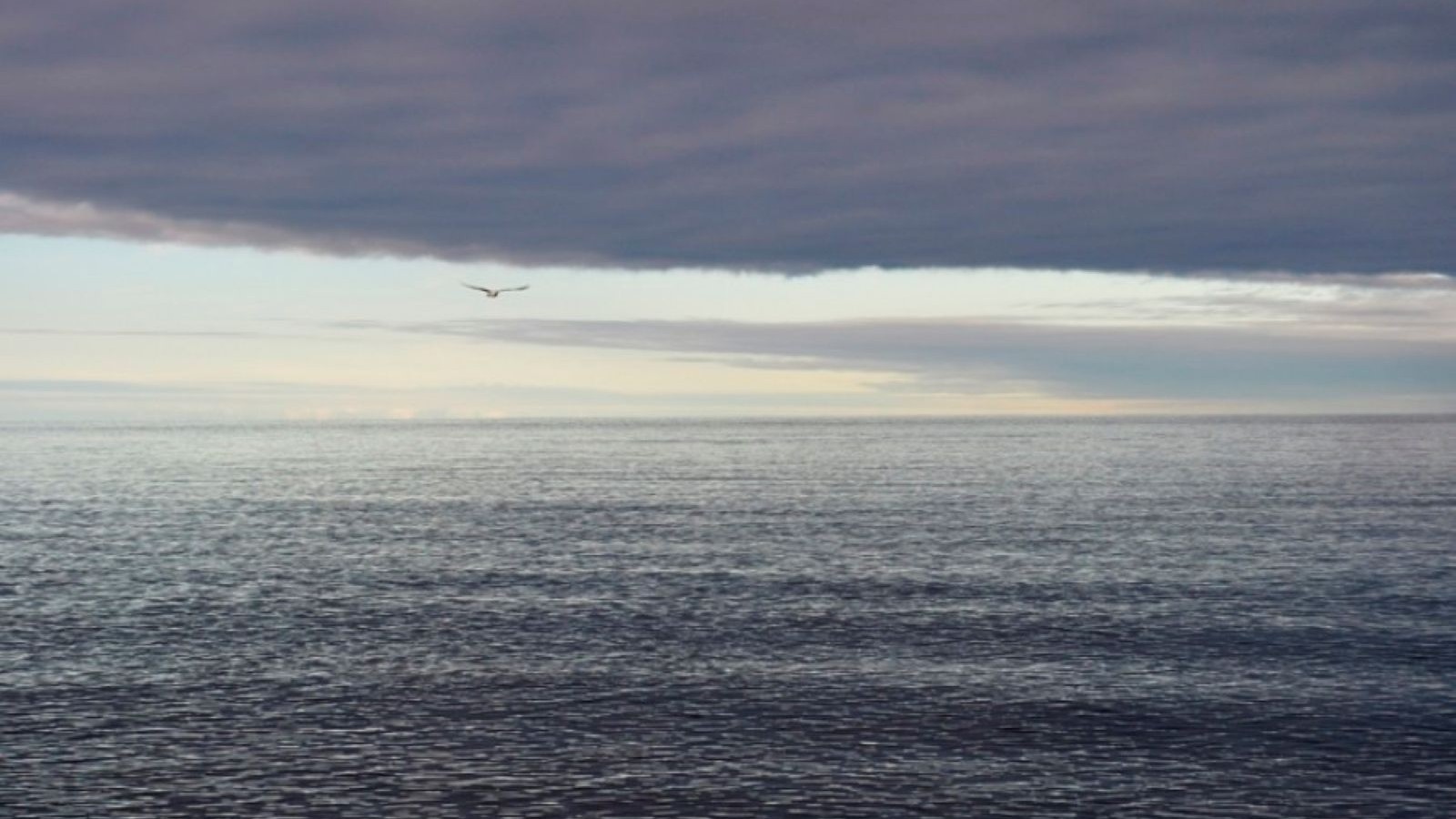 Madryn: conocé el pronóstico del tiempo ¿siguen las lluvias?