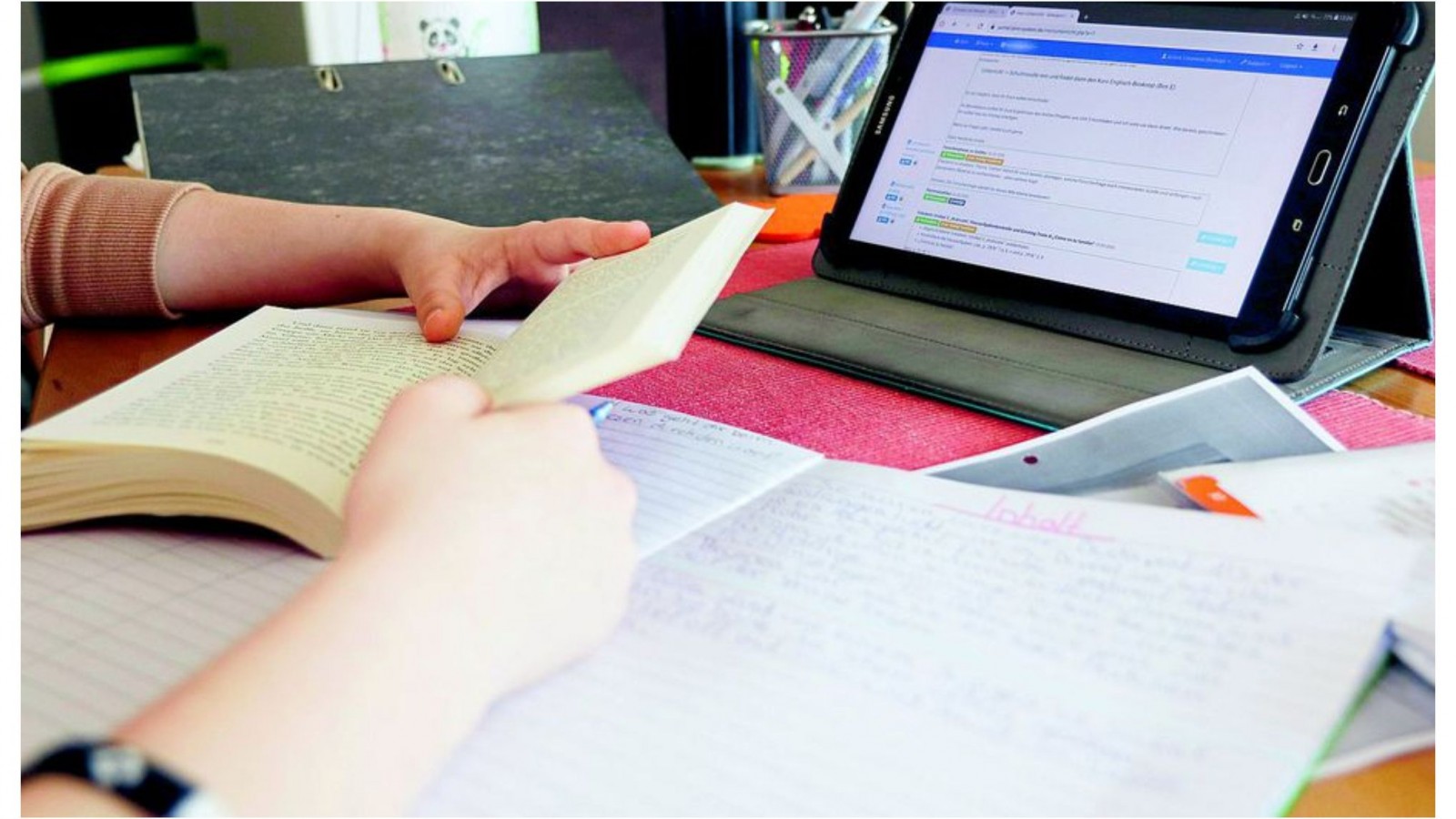 Educación : ¿Qué estudiantes van a poder promocionar en diciembre?