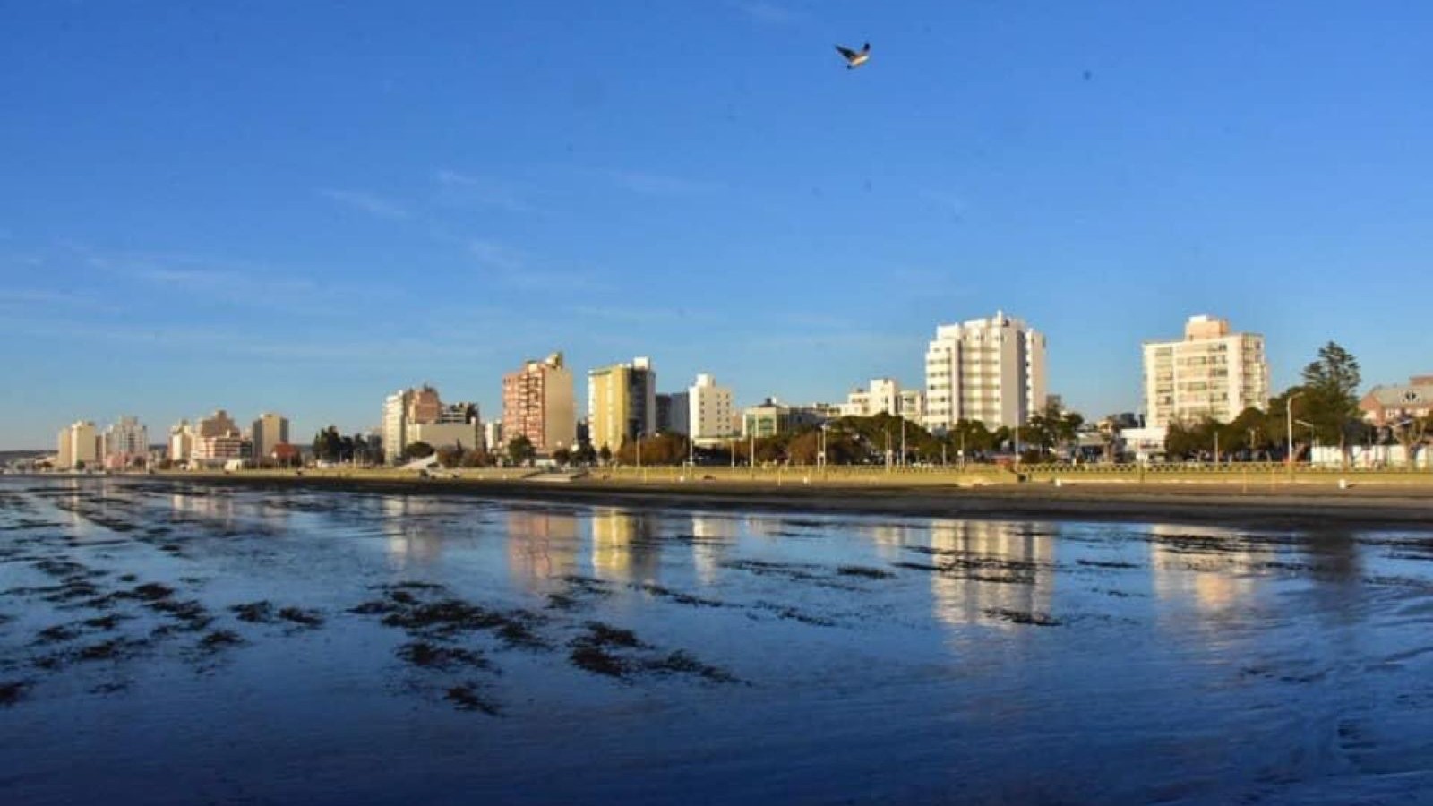 Madryn: conocé el pronóstico del tiempo del sábado