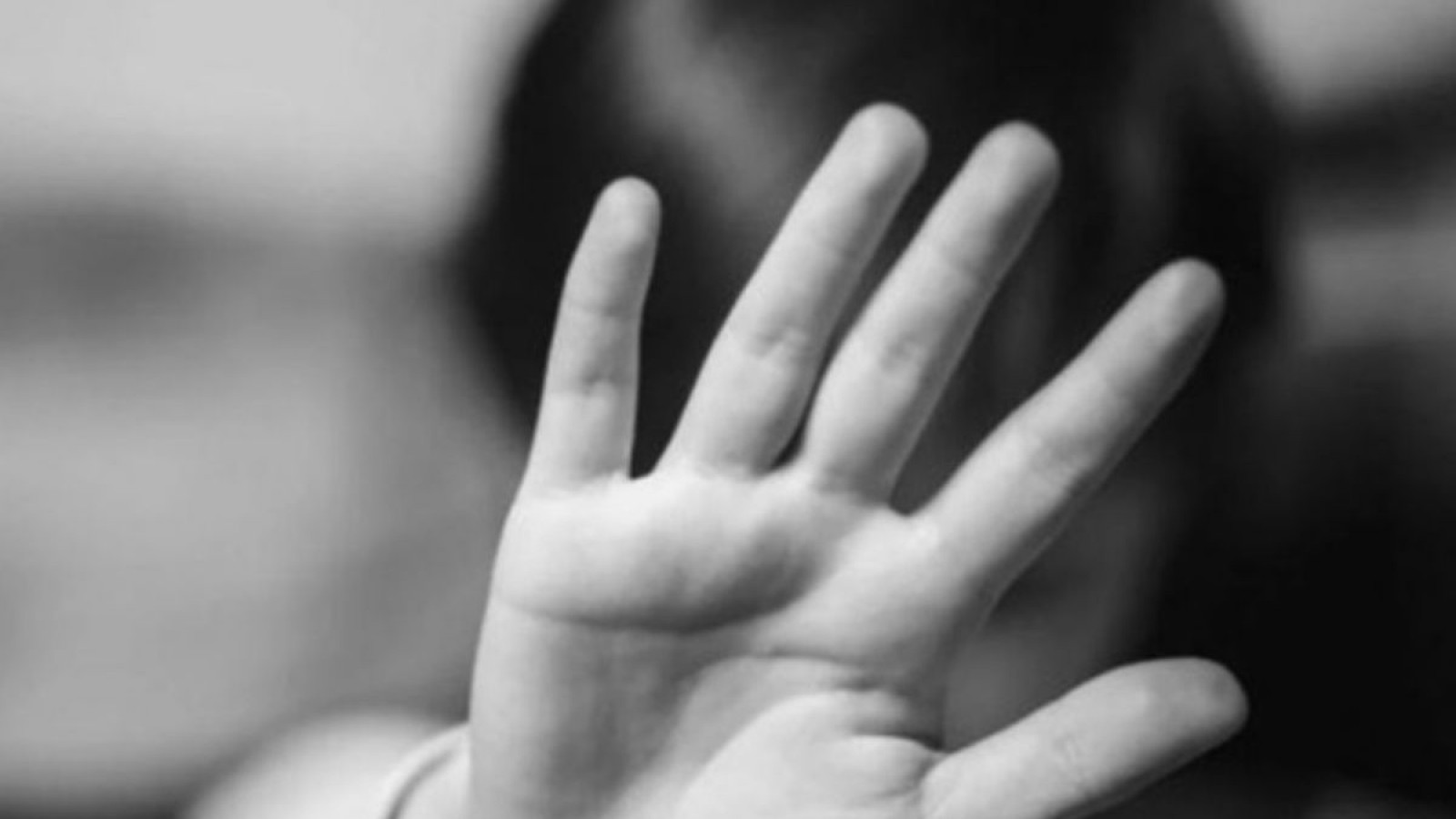 Madryn: "el material que se secuestra de pornografía infantil, es aberrante"