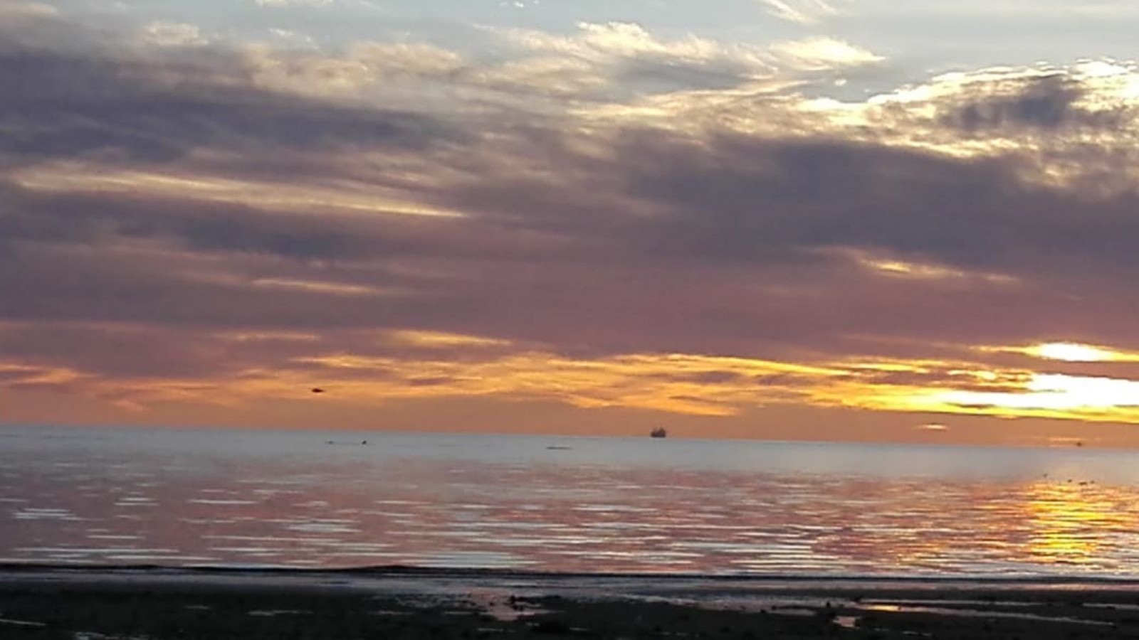 Puerto Madryn: Conocé el pronóstico para lo que resta del jueves