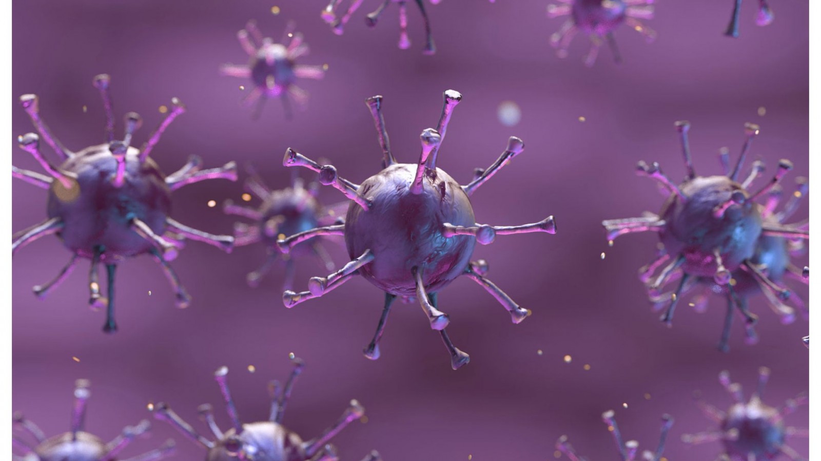 Hubo una muerte en Chubut y un contagio de coronavirus