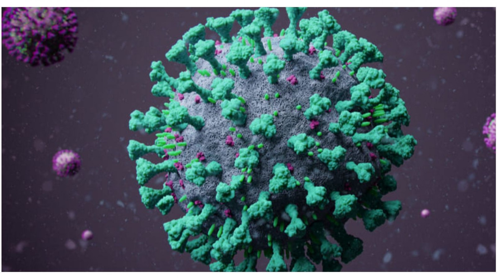 No se reportaron casos positivos de coronavirus en Madryn