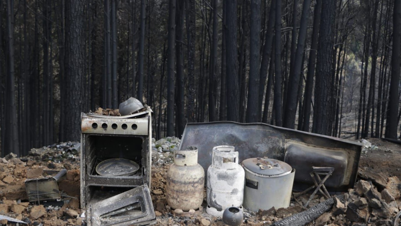 Incendios en la Cordillera: "se pudo energizar a la zona con una línea alternativa y los motores que se pusieron"