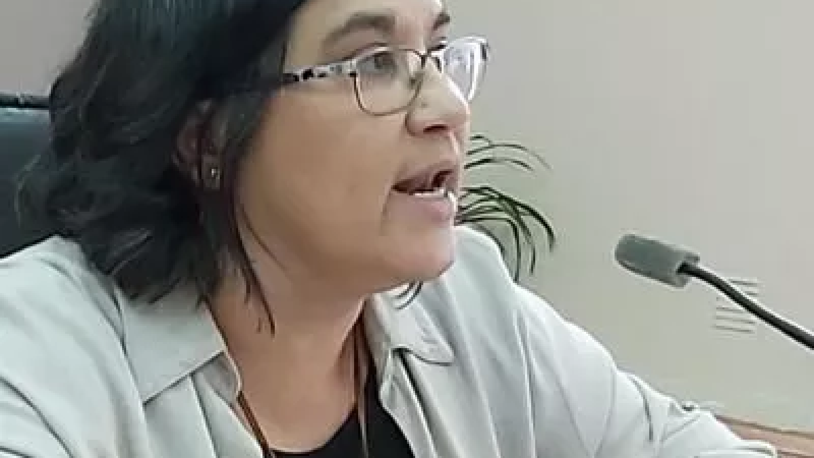 La concejal Alejandra Concina reclamó "yo no tengo que sesionar custodiada por policías, no tengo nada que esconder"