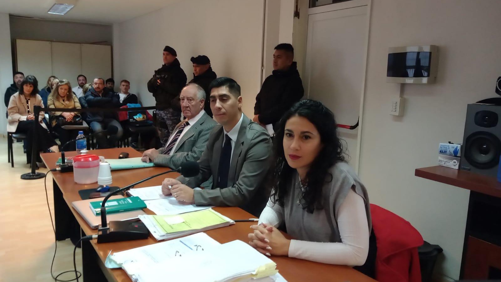 Crimen de Beryl Williams: se pidió la pena máxima a peligroso delincuente