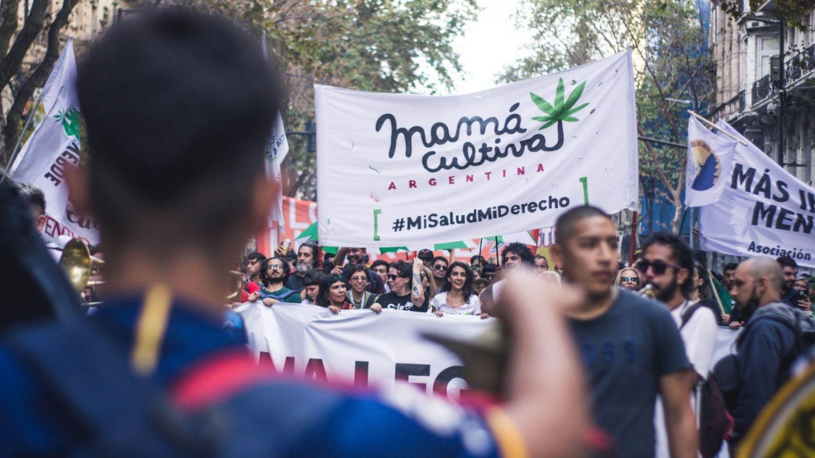 Mamá Cultiva recibe tierras para producir cannabis medicinal