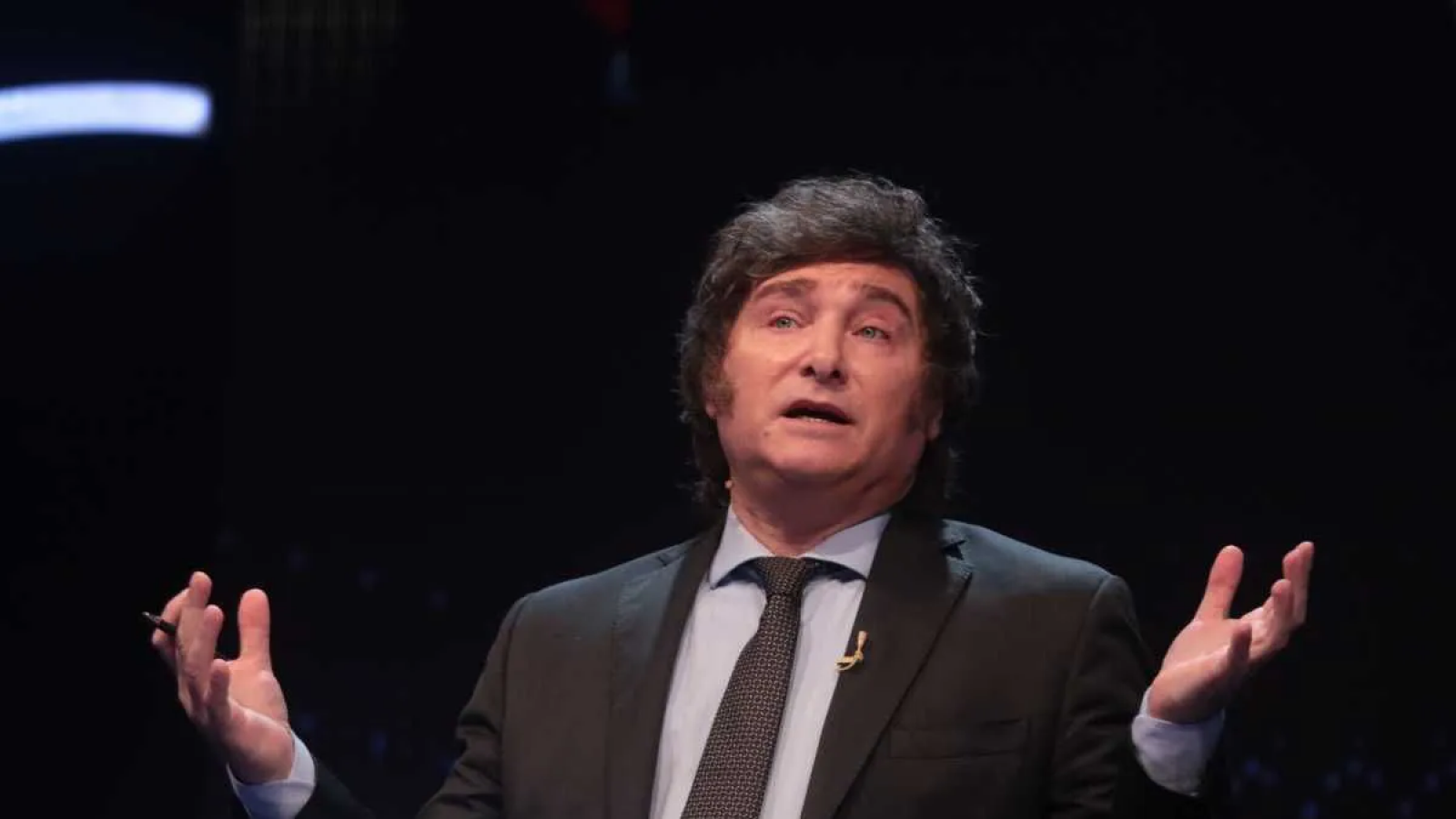 Milei pidió la renuncia de Sonia Cavallo como embajadora argentina ante la OEA