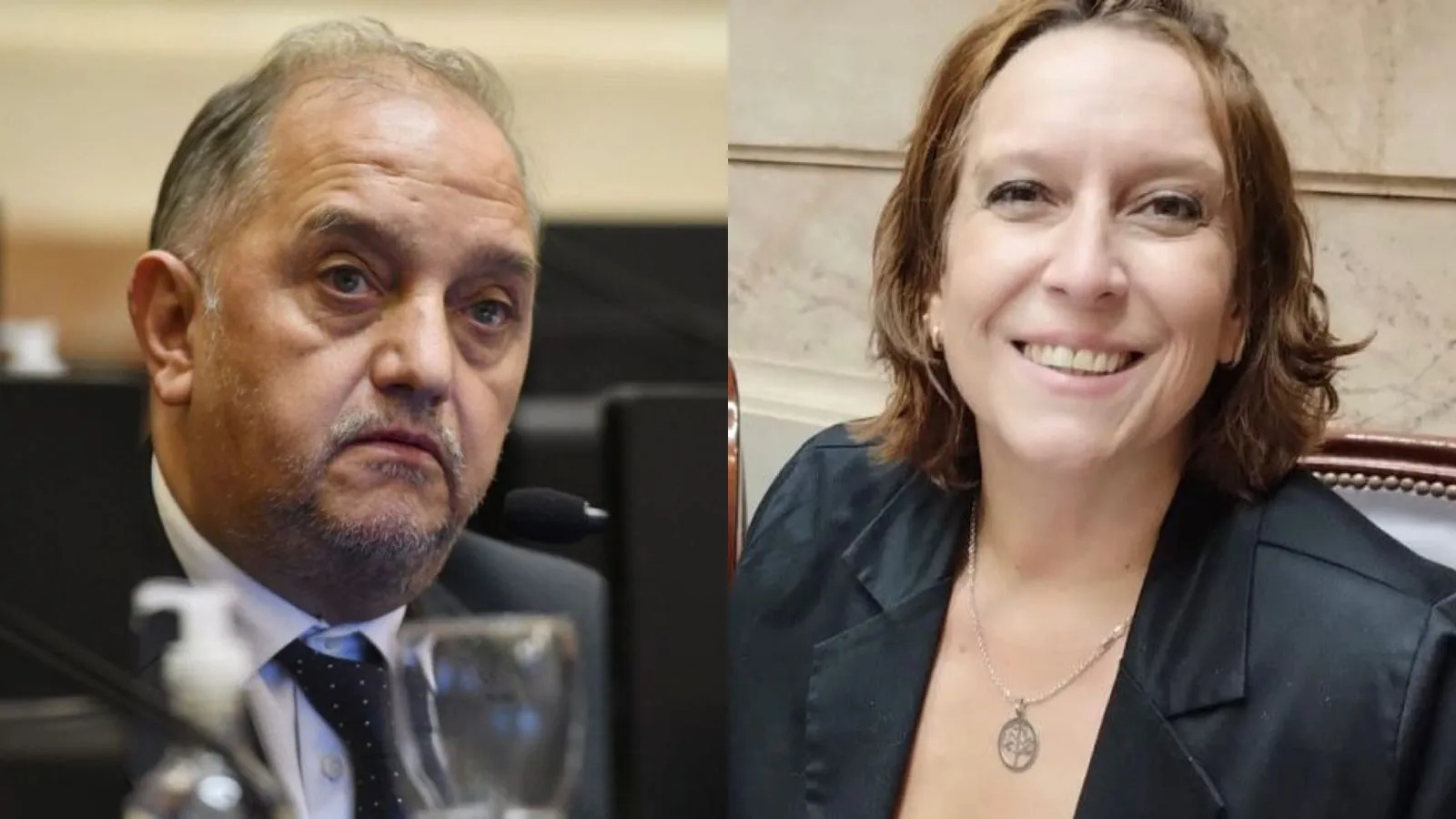 Legisladores patagónicos unidos en rechazo a las reformas pesqueras de Javier Milei