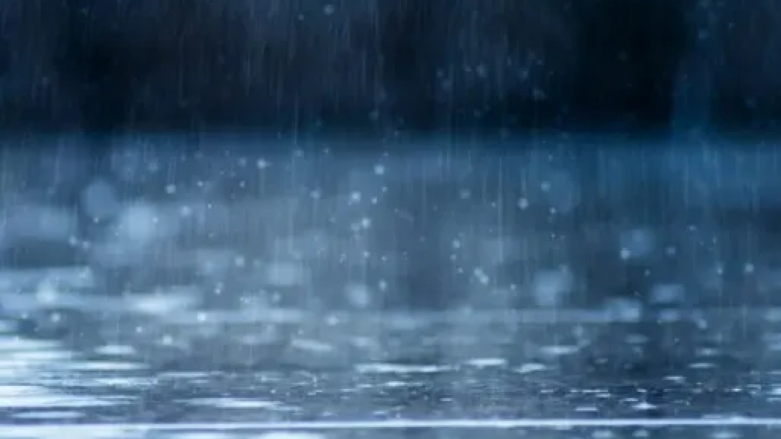 Atención: Alerta amarilla en Puerto Madryn y Puerto Pirámides por lluvias "se esperan entre 15 y 25 mm"