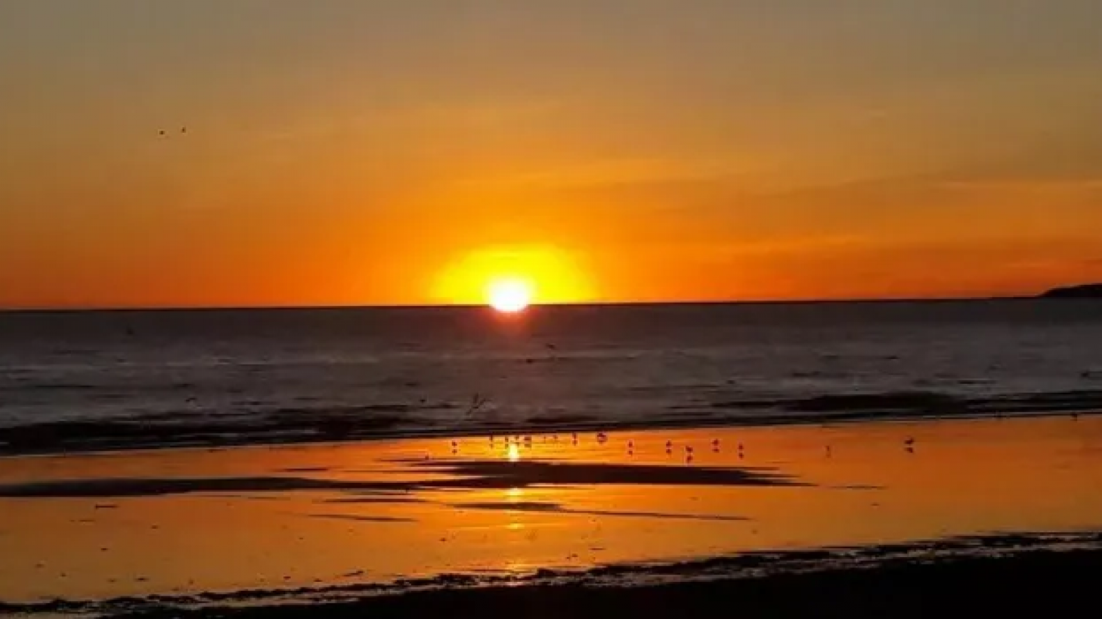 Clima en Puerto Madryn: lunes lluvioso y fresco, con ráfagas del noreste