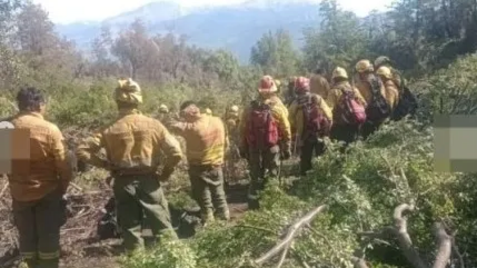 "Los Alerces": Continúa la lucha contra el incendio con refuerzos de brigadistas de Santa Fe