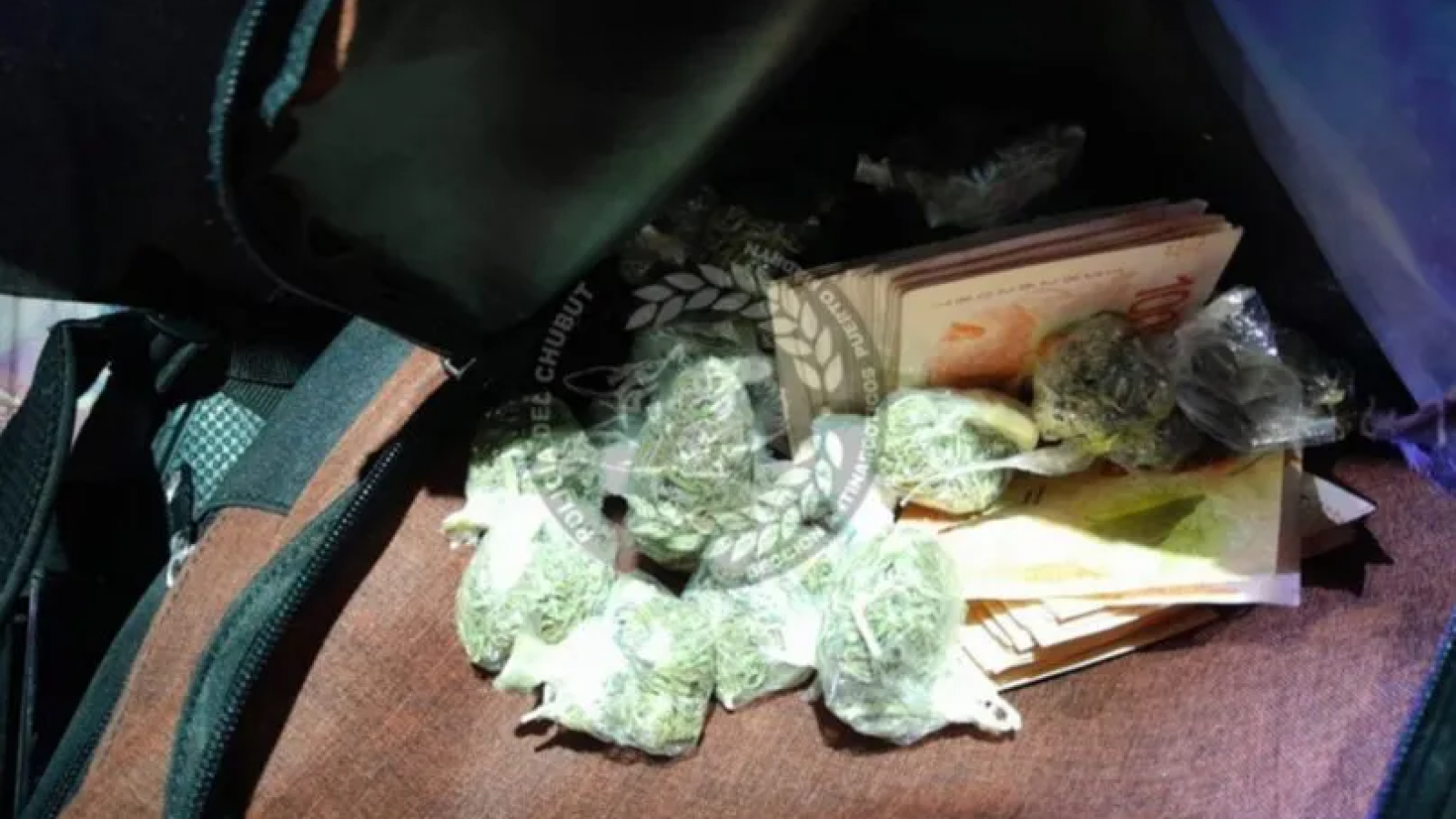 Secuestran droga durante control vehicular en Puerto Madryn: "El can Nerón detectó todo"