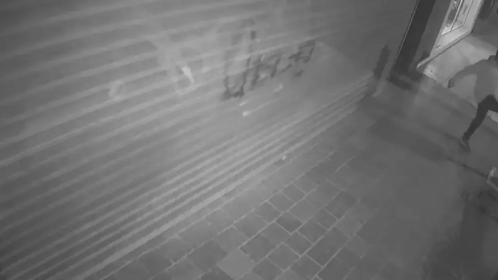 Un joven atacó al único cargador de vehículos eléctricos en Madryn