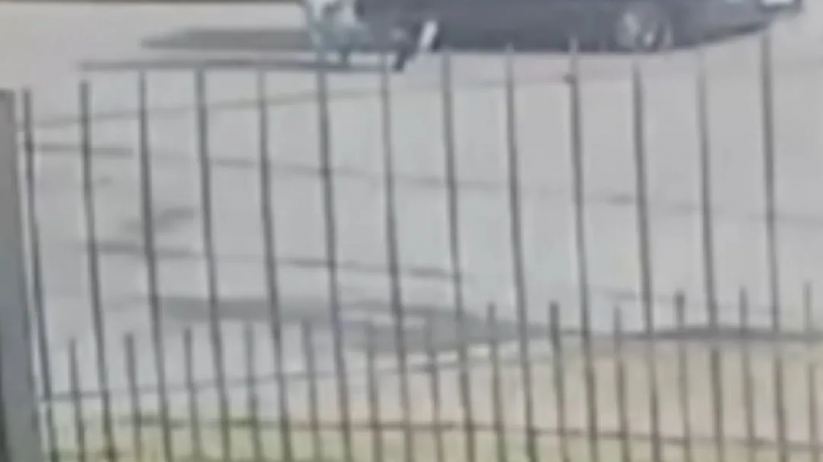 Femicidio en plena vía pública en La Plata