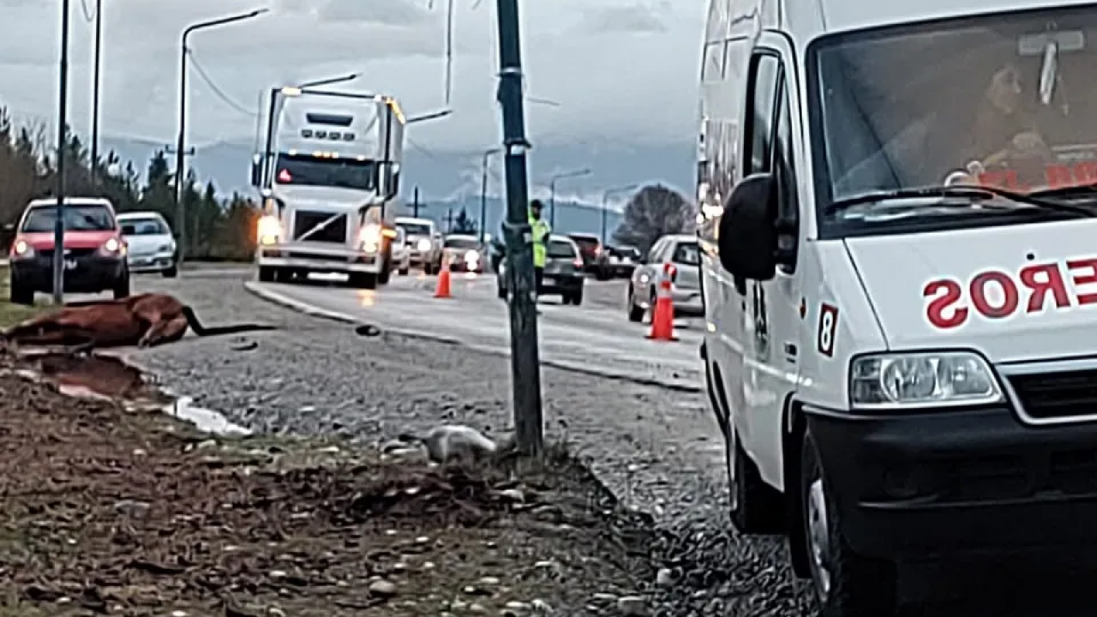 Choque en Ruta 40 Norte: la conductora resultó ilesa, pero el caballo murió
