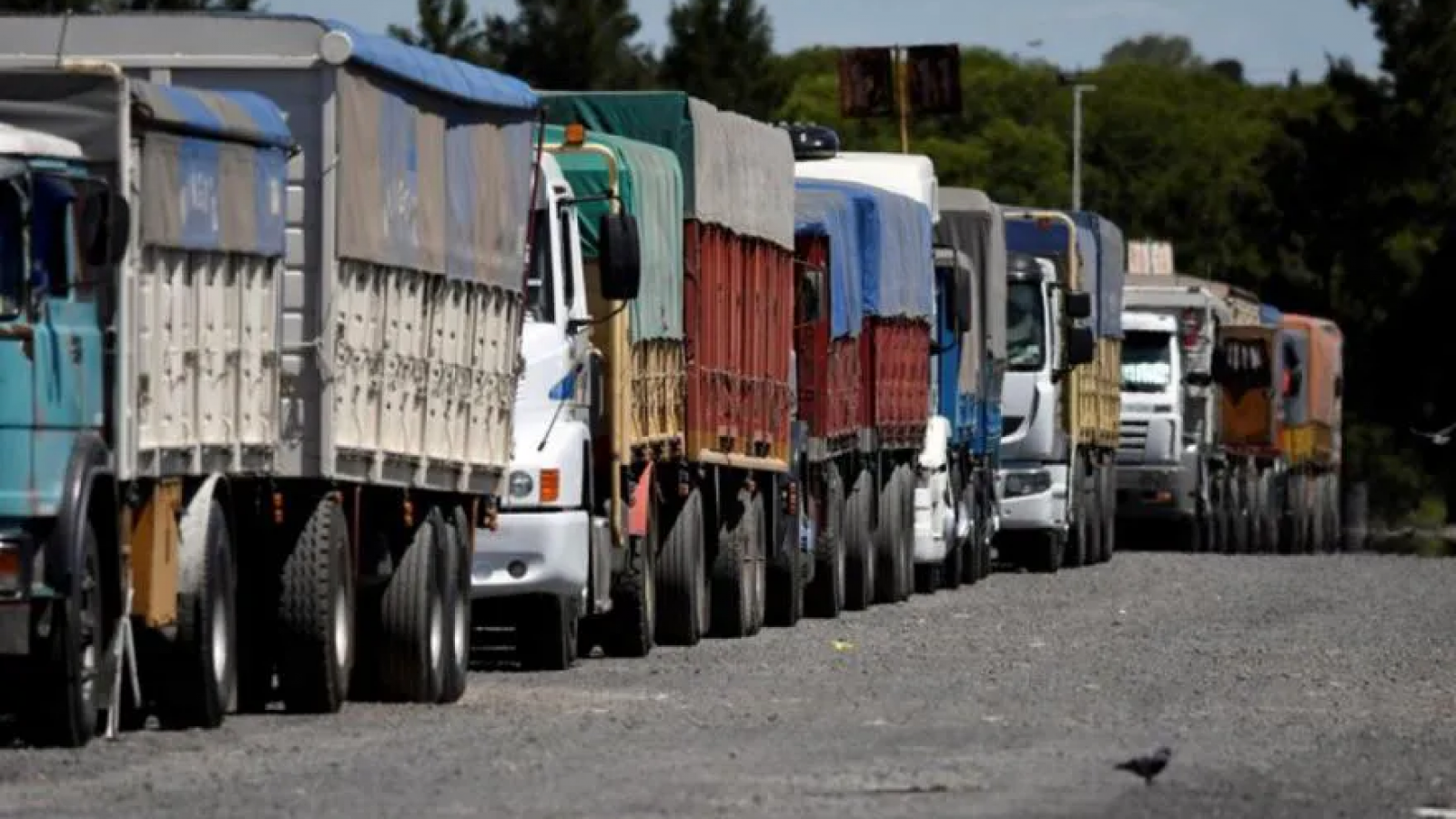 El Registro Único de Transporte Automotor ahora será electrónico, sin costo y sin trámites presenciales