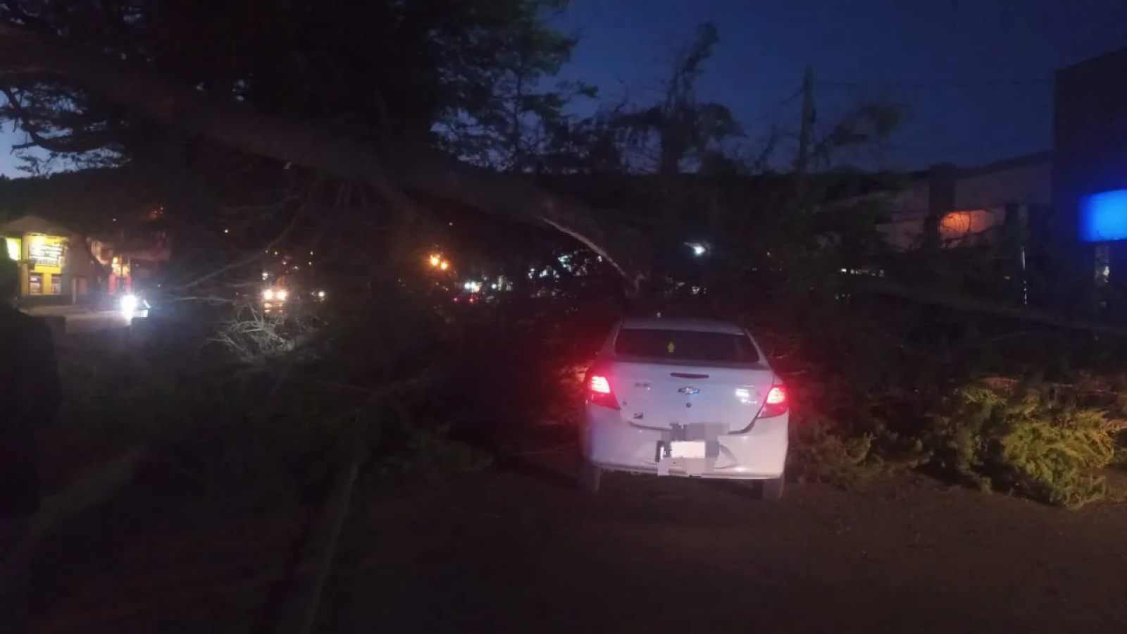 Un arbol cayó sobre dos vehículos en el centro de Esquel