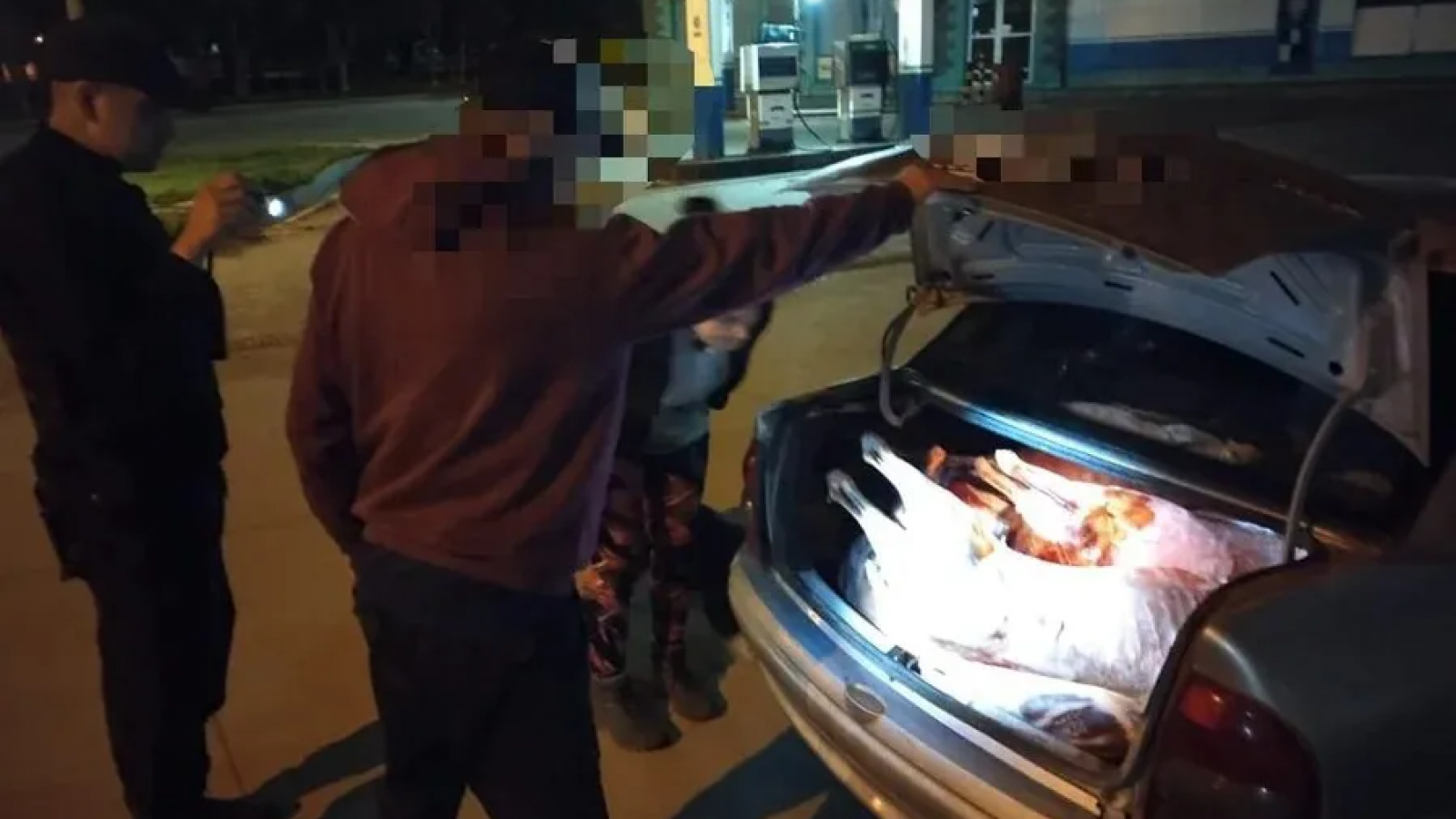 Detienen a un conductor con siete capones faenados sin documentación