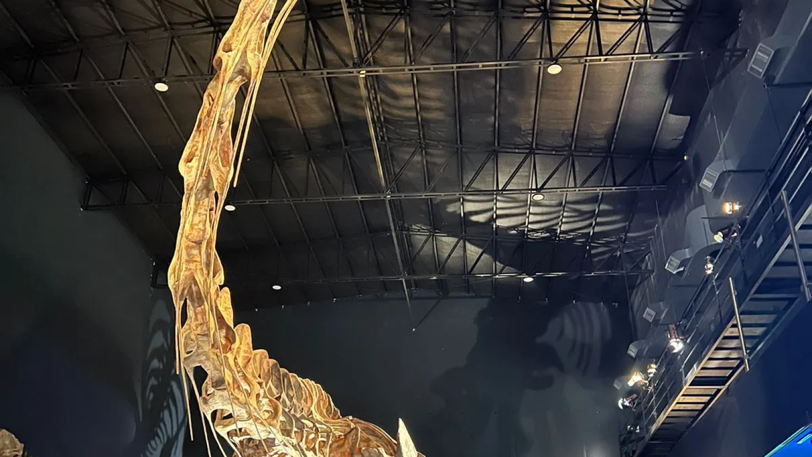 Inauguraron el nuevo Museo Paleontológico Egidio Feruglio