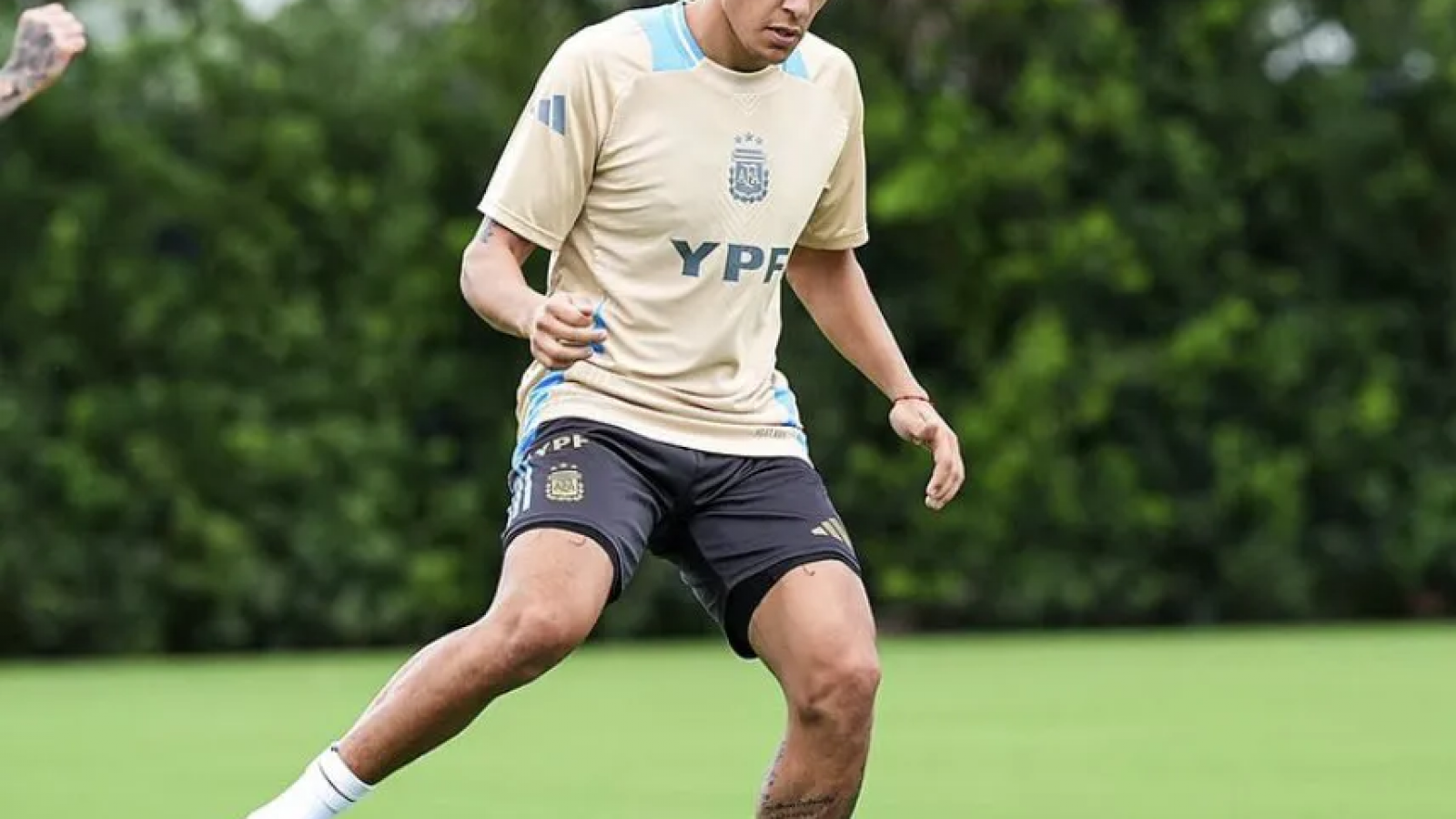 Otra baja para la Selección Argentina: Nahuel Molina, fuera contra Perú por lesión