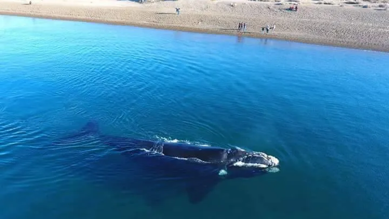 Una playa de Chubut, entre las cinco mejores de Sudamérica