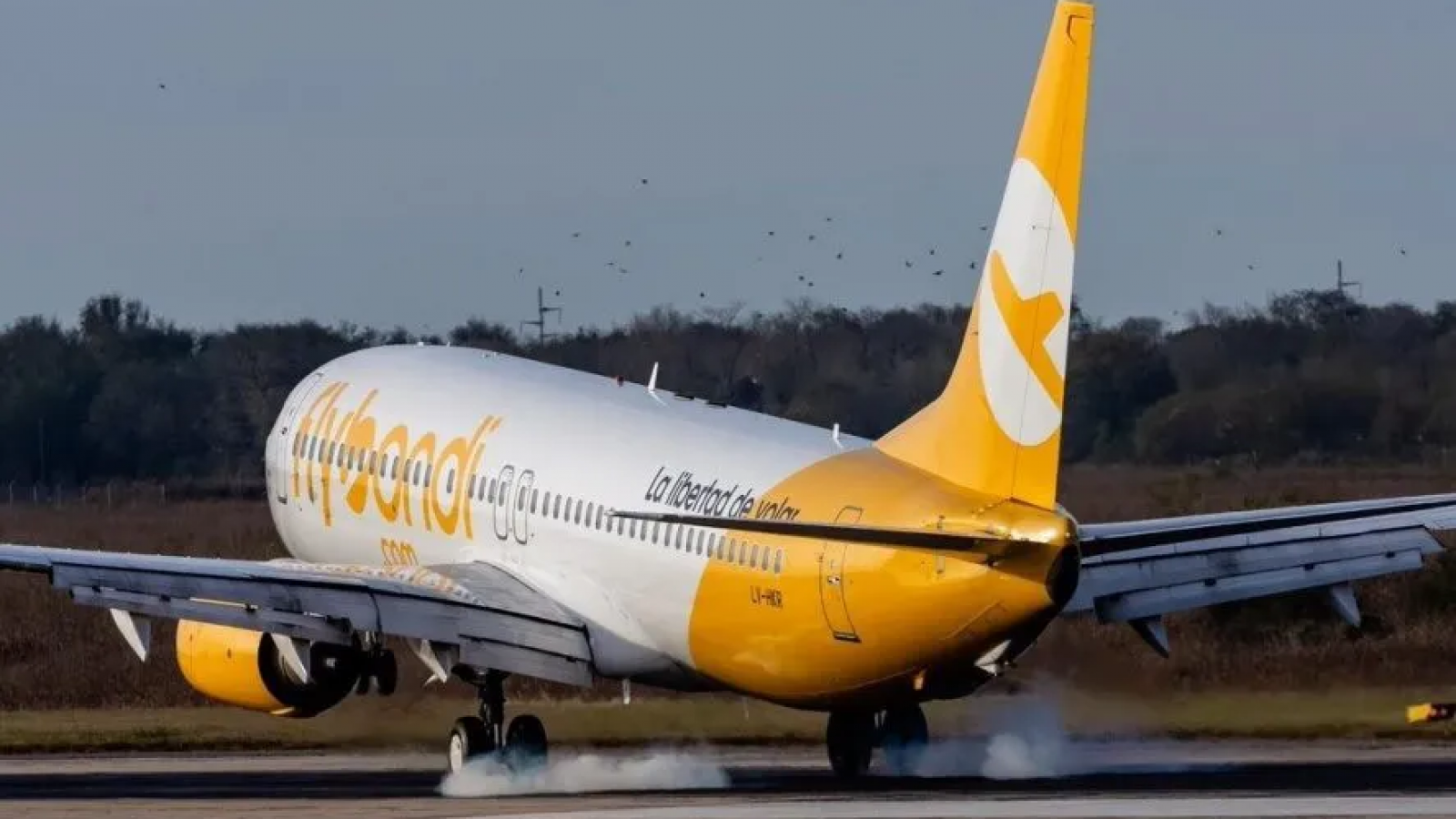 Vuelo de Flybondi regresó a Córdoba por una alerta técnica