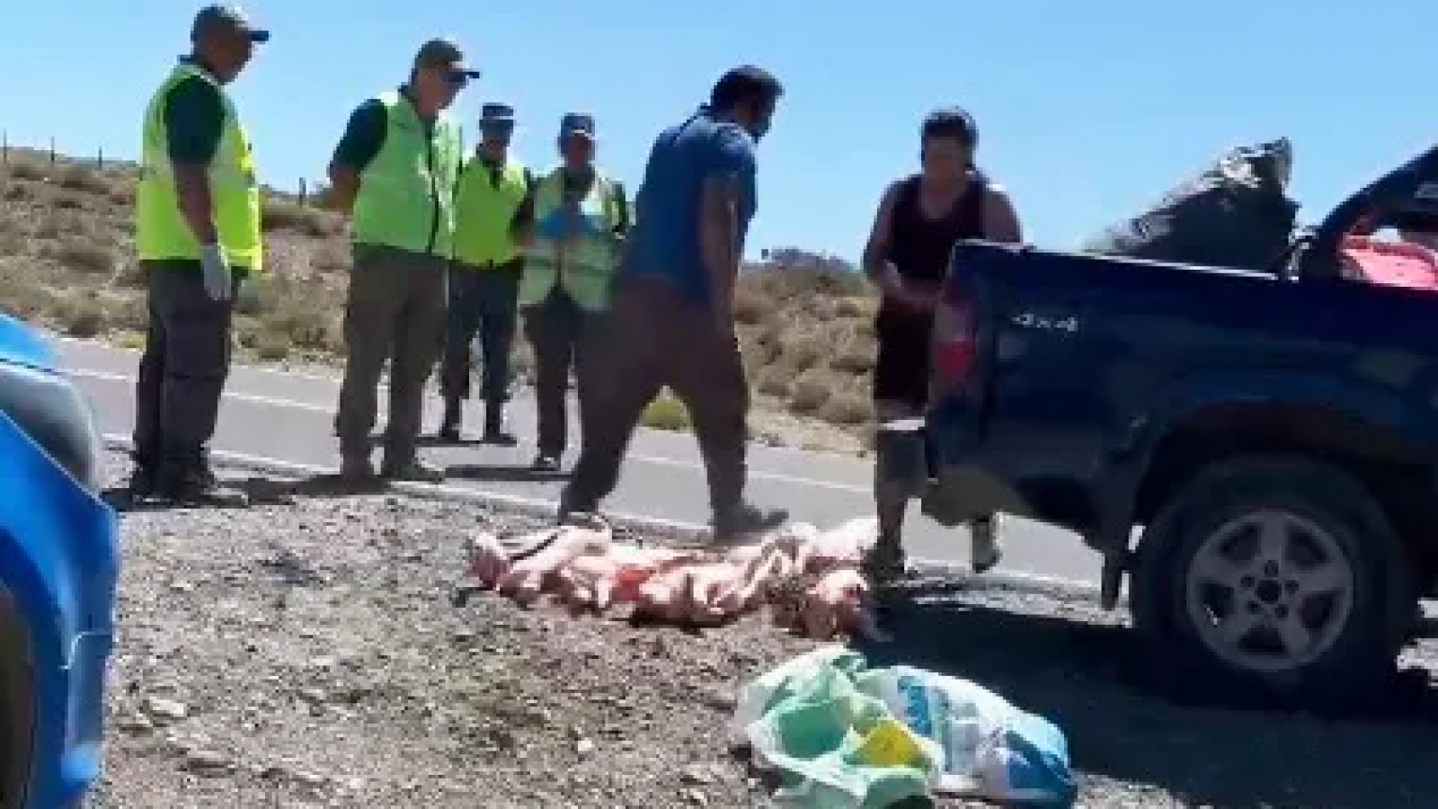 Indignación: decomisaron su carga y atropelló a los animales con su camioneta