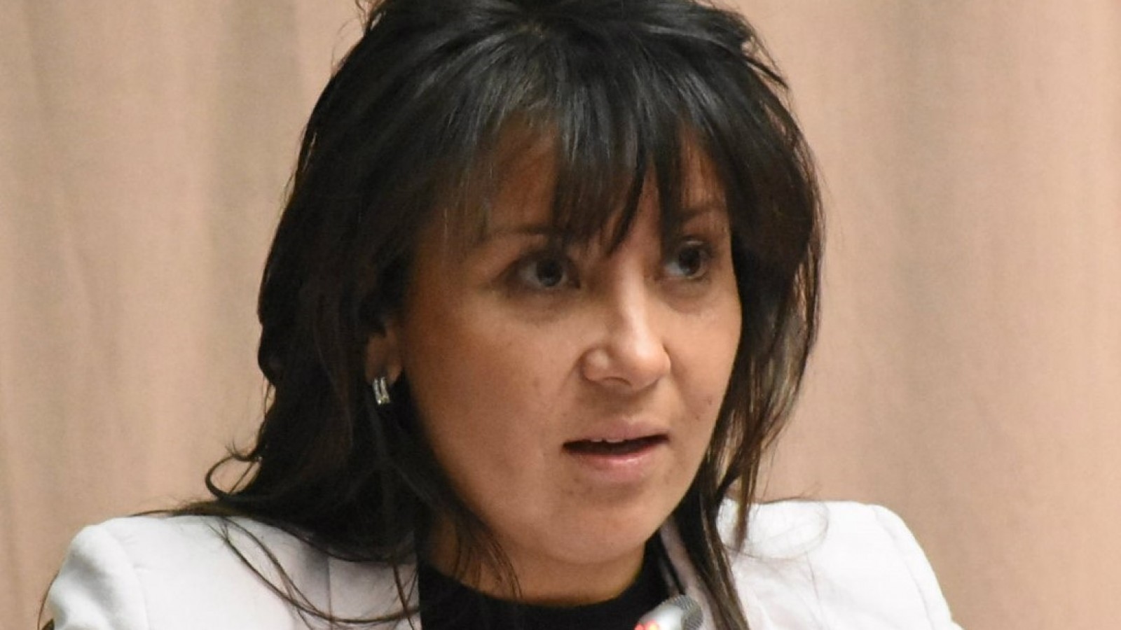 La Fiscalía solicitó prisión para Torres Otarola