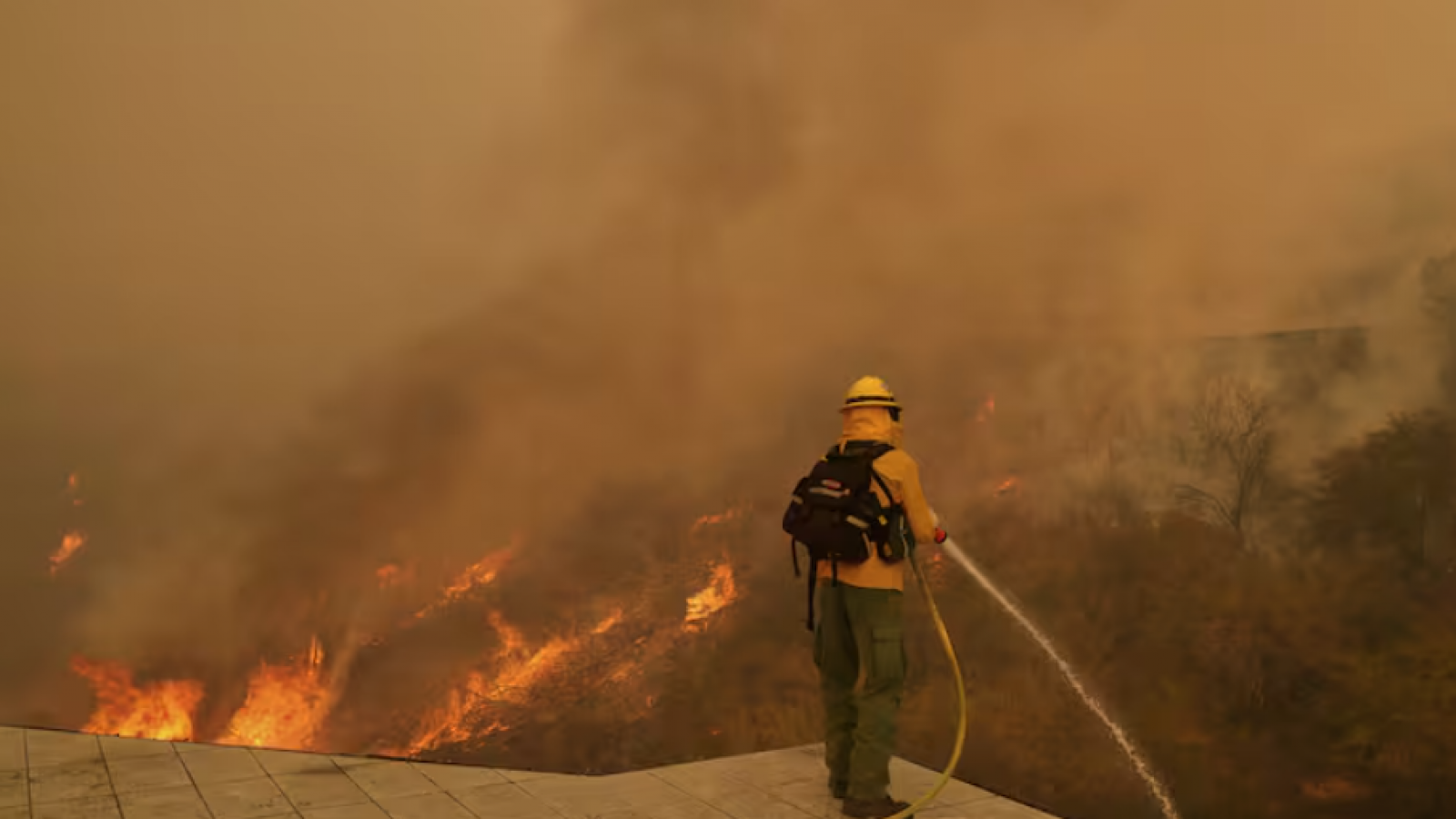 Tragedia en Los Ángeles: Los incendios forestales dejaron 16 muertos y destruyeron miles de viviendas