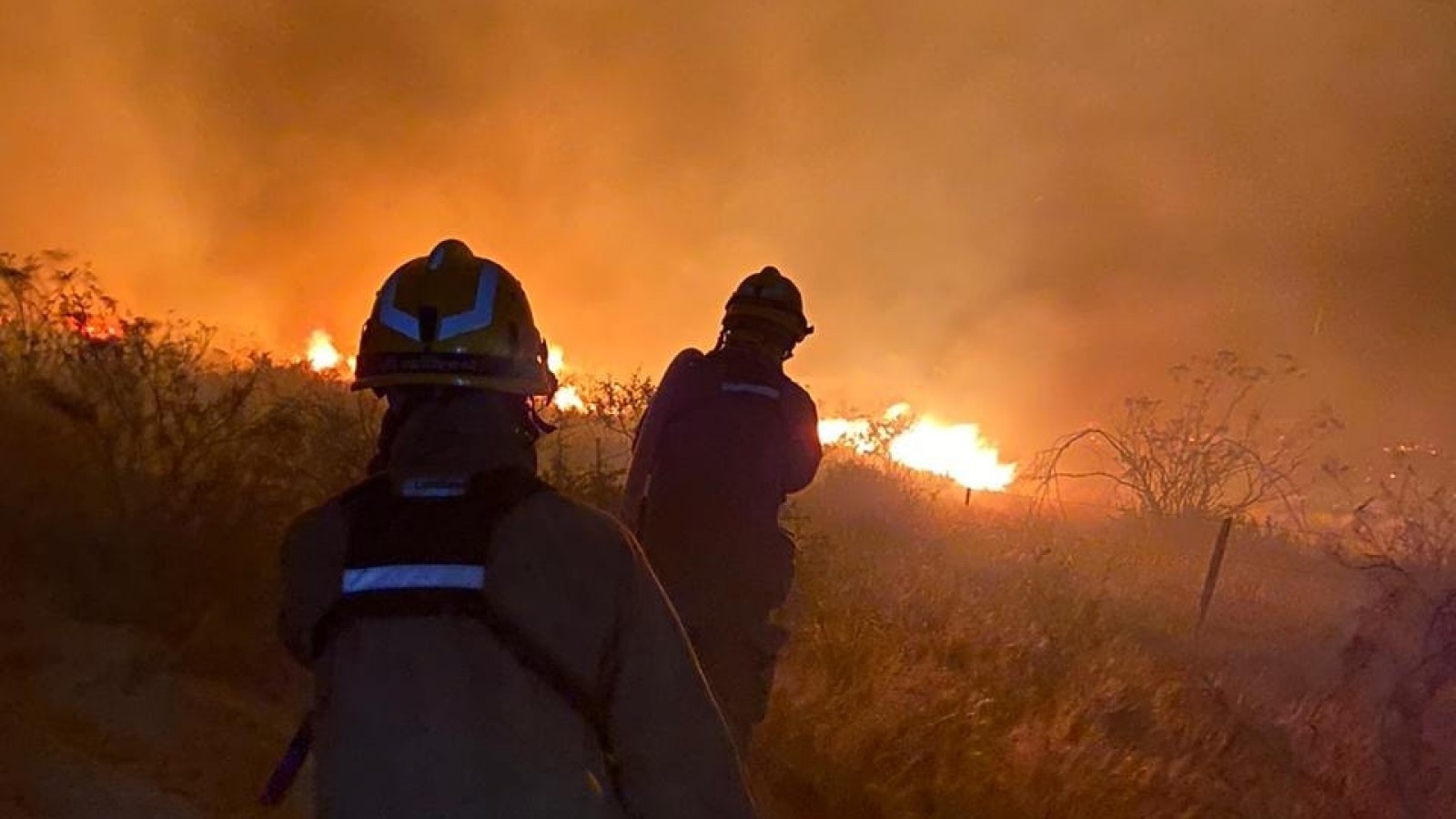 Fuego sin control en Puerto Madryn: el viento aviva el incendio y avanza hacia la costa