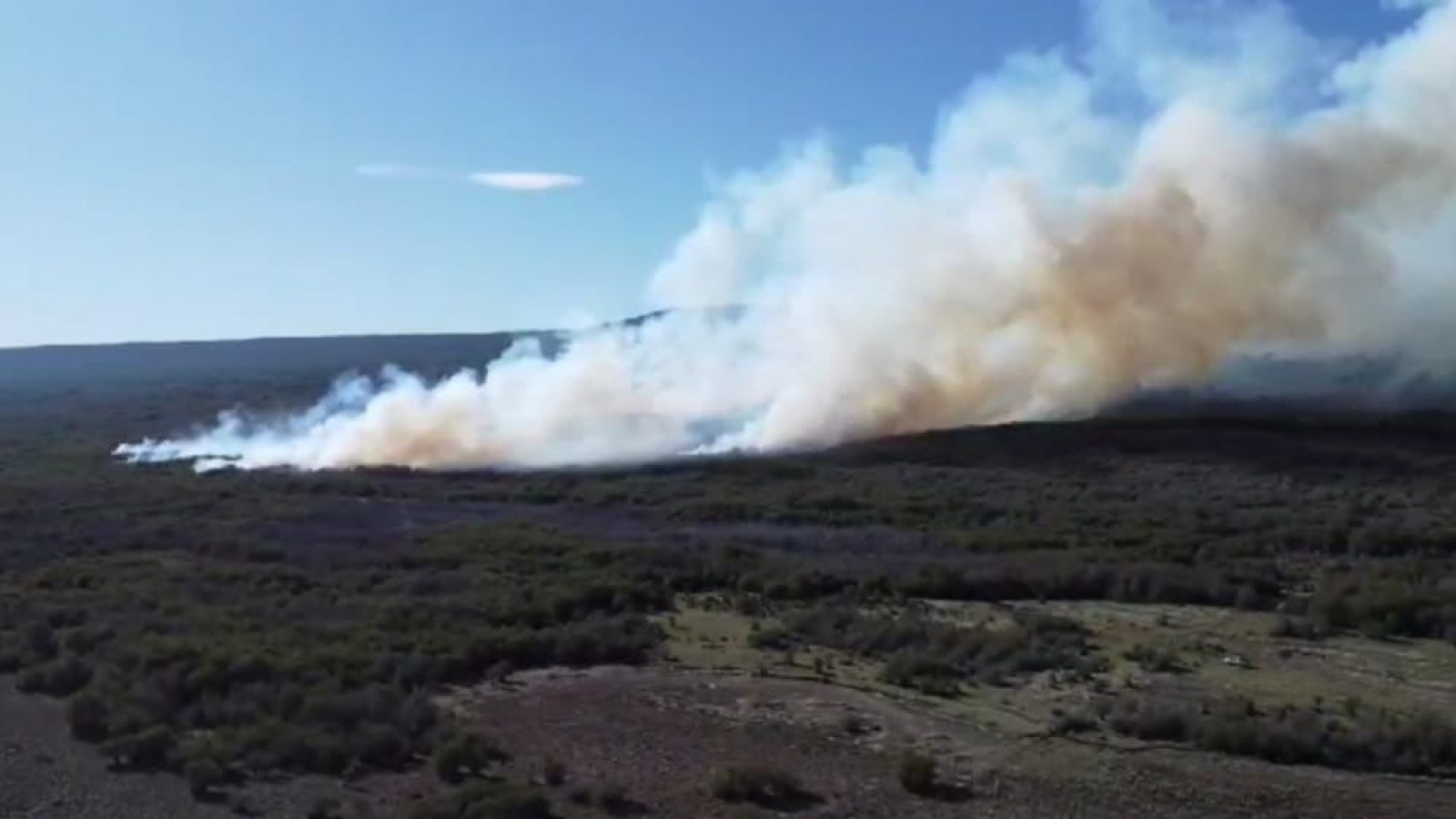 "El fuego avanzó mucho y se quemaron 8 mil hectáreas", afirmó el intendente de Río Pico, Diego Pérez