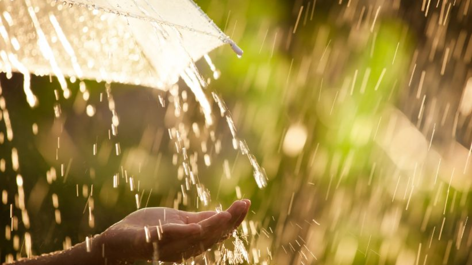 La lluvia trajo alivio al incendio en El Bolsón y fue celebrada por los vecinos