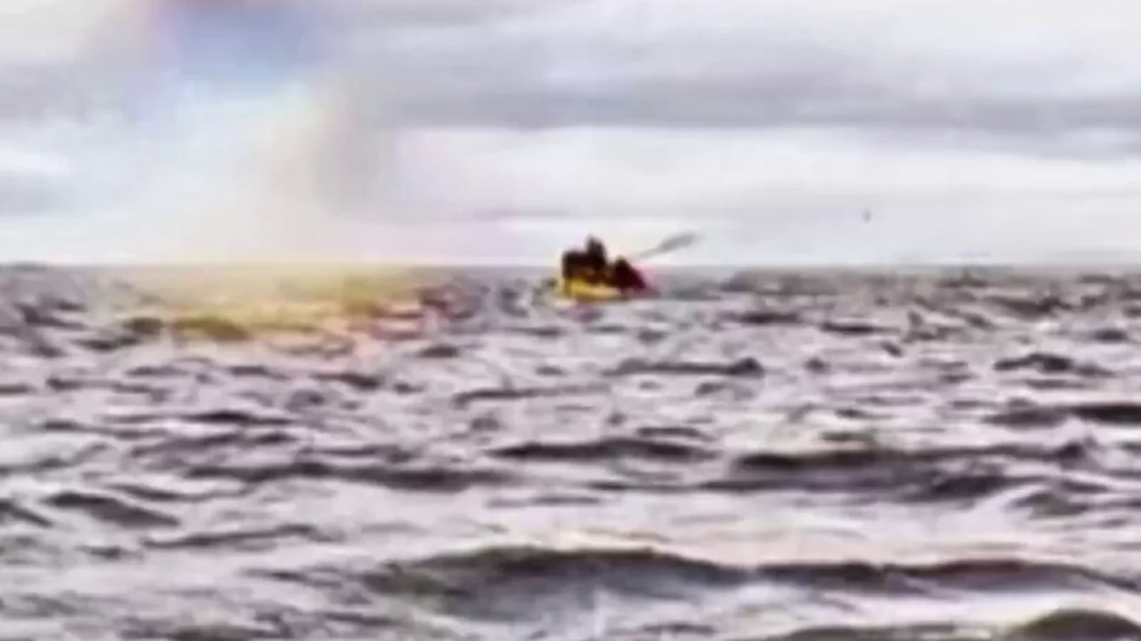 Increíble: una ballena se tragó a un joven en el Estrecho de Magallanes y luego lo expulsó