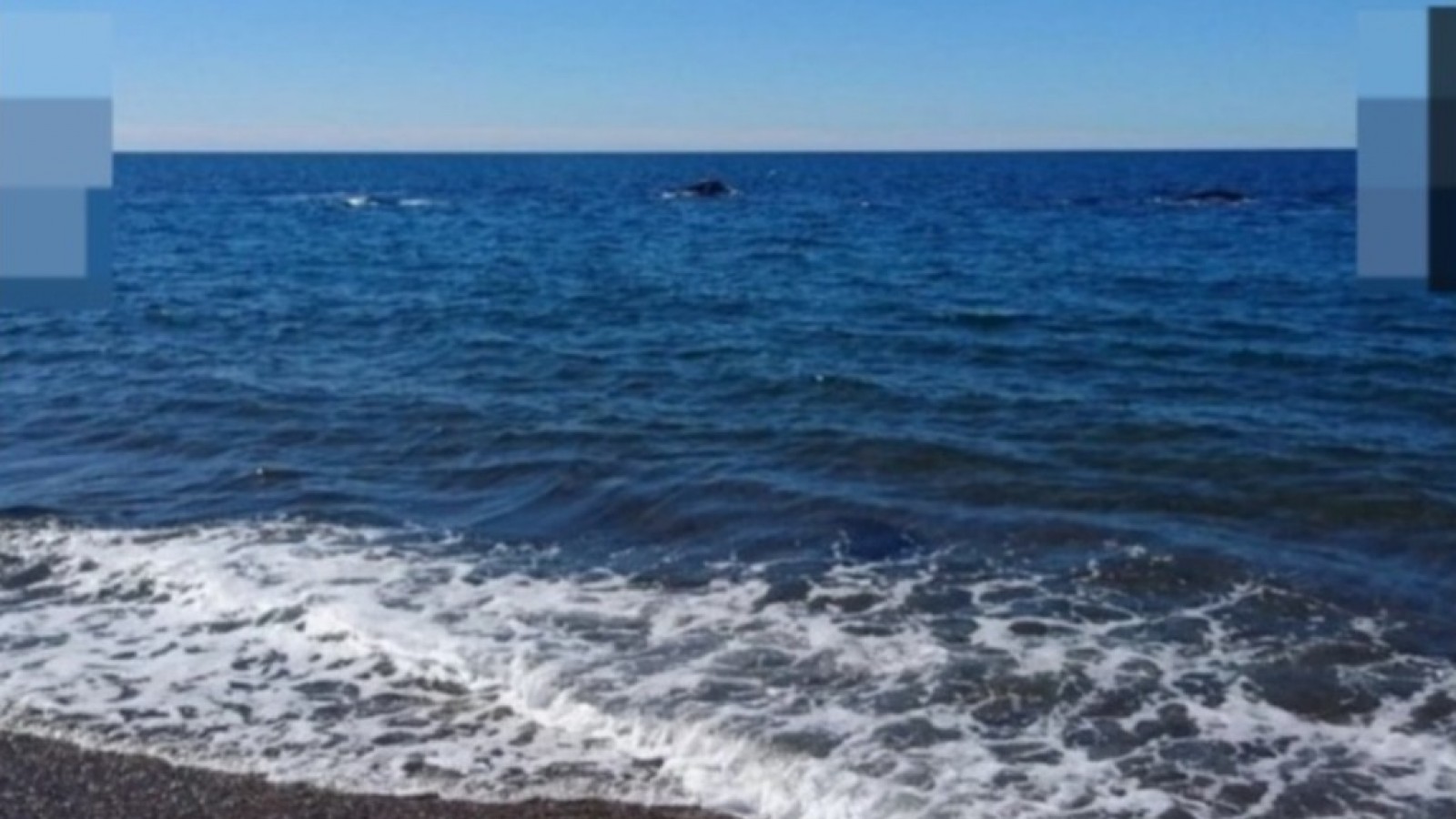 Playa Las Canteras, entre las más lindas de Sudamérica según los viajeros