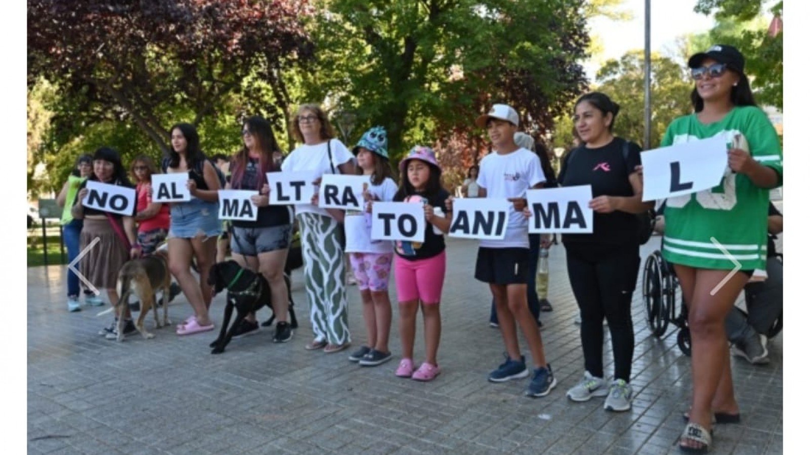 Multitudinaria marcha en Trelew contra el maltrato animal: "Queremos que la justicia actúe"