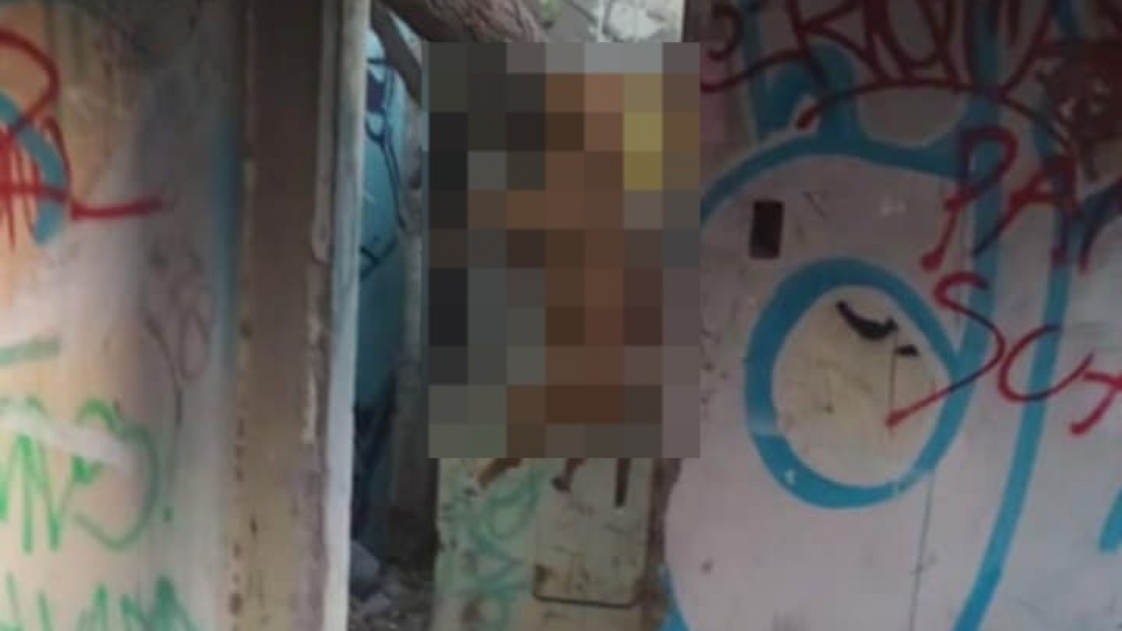 Hallan un perro colgado en la ex Calera