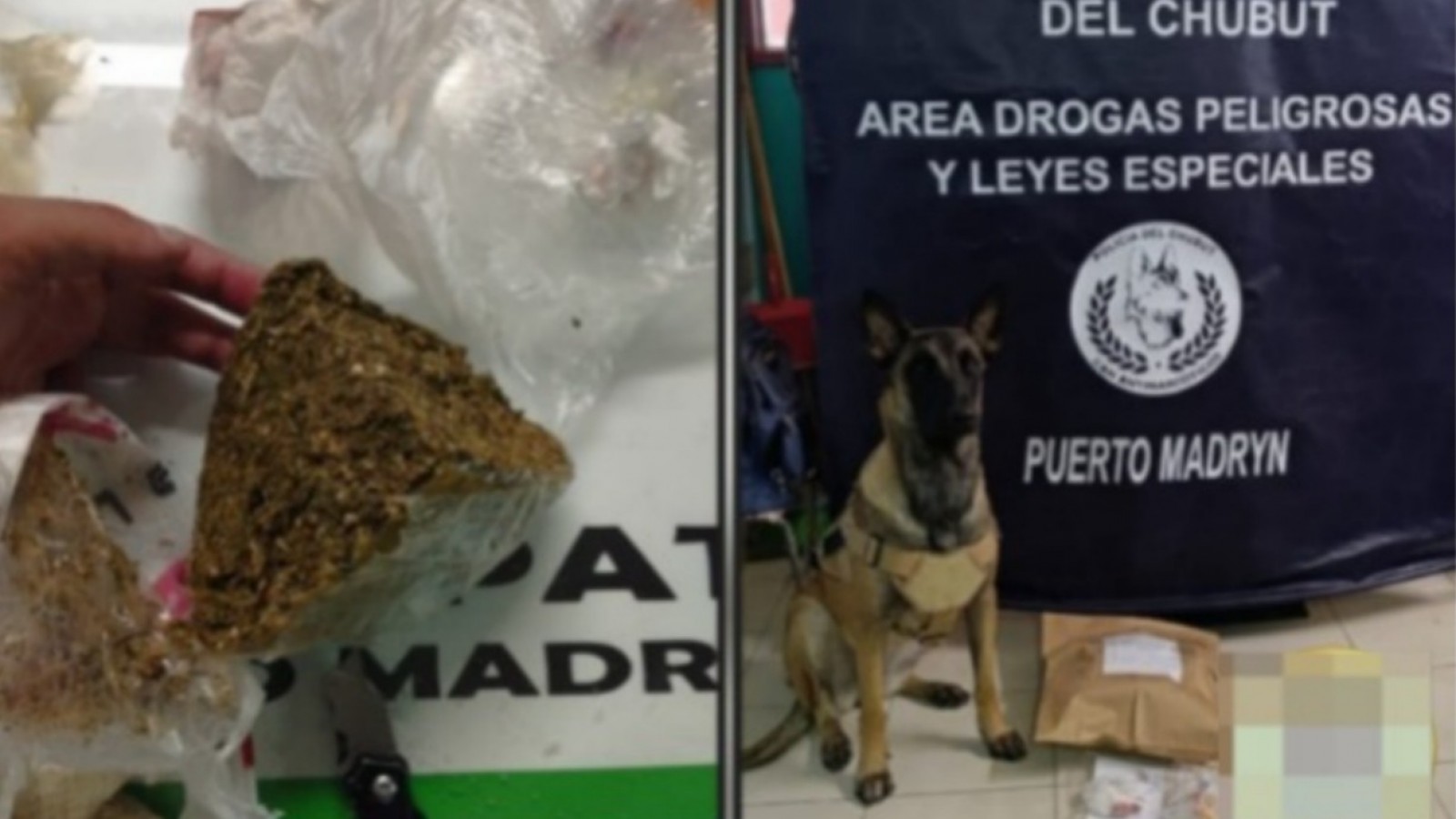 Un paquete sospechoso en la Terminal de Puerto Madryn llevó al secuestro de cocaína y marihuana