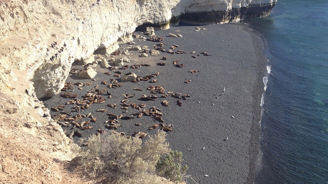 Cerraron el acceso a Punta Loma por el estado de los caminos