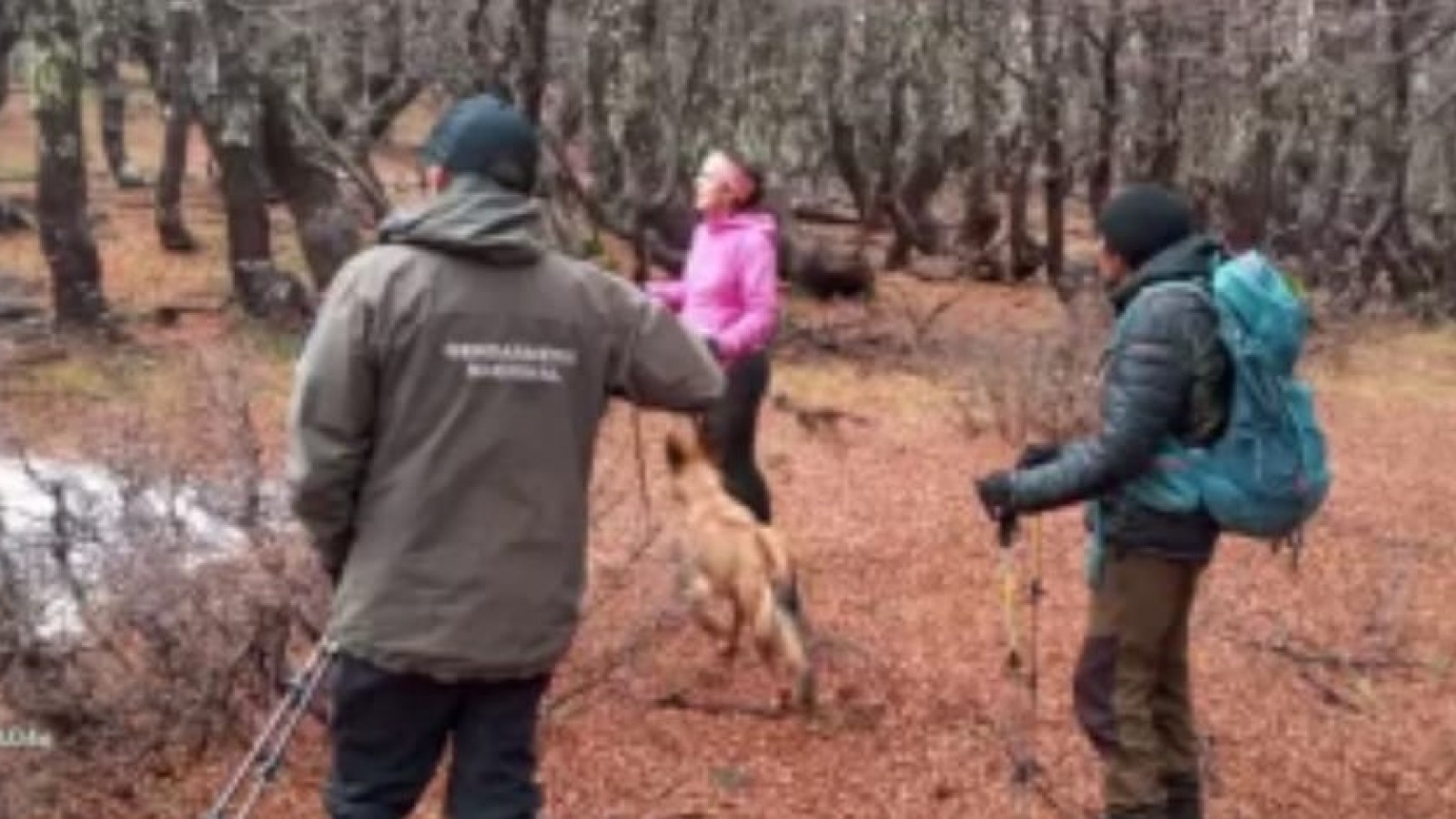 Preocupación en El Bolsón: buscan a dos mujeres que desaparecieron tras una caminata en la montaña