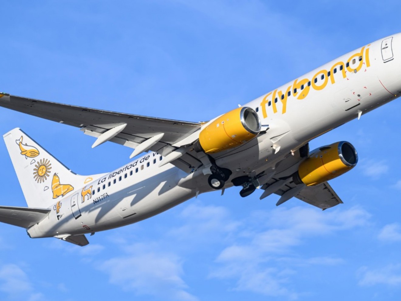 Crisis en Flybondi: la aerolínea solicitó el concurso preventivo de acreedores