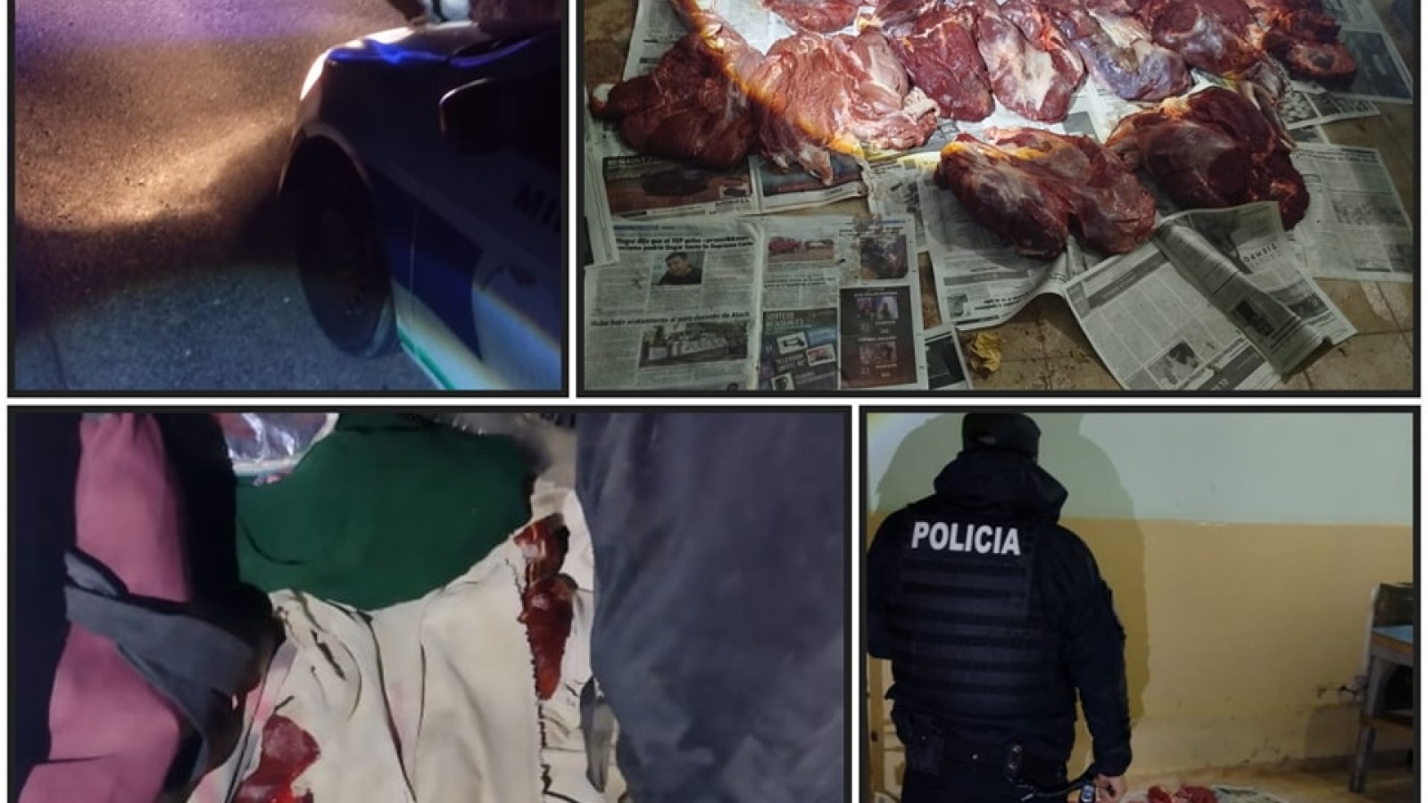 Incautaron carne de guanaco sin habilitación en un control sobre la Ruta 25