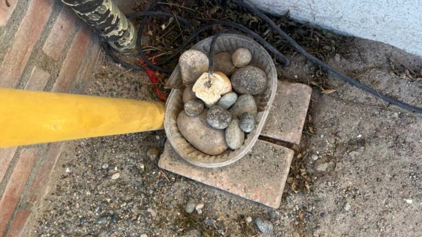 Insólito y peligroso: intentó electrocutar animales con un pan conectado a la corriente en Playa Unión