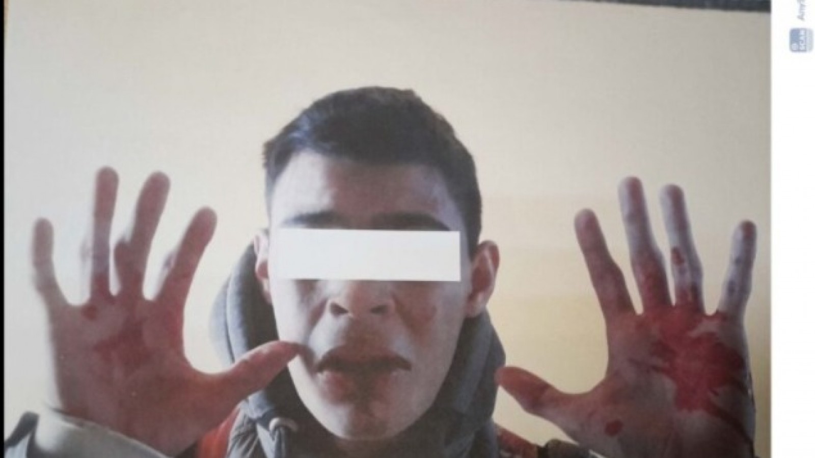 Denunció a un chofer por usar el celular mientras manejaba y terminó golpeado