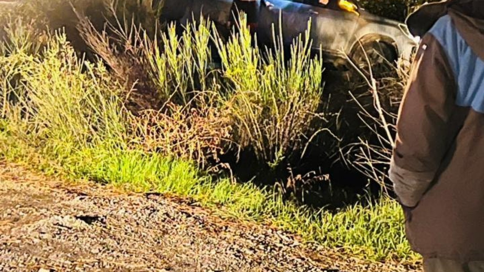 Despiste en Ruta 40 por hielo en El Pedregoso: piden máxima precaución