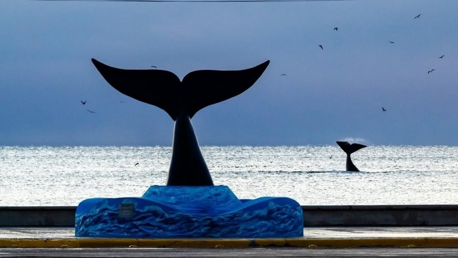 Alerta roja por frío extremo en Puerto Madryn: recomendaciones